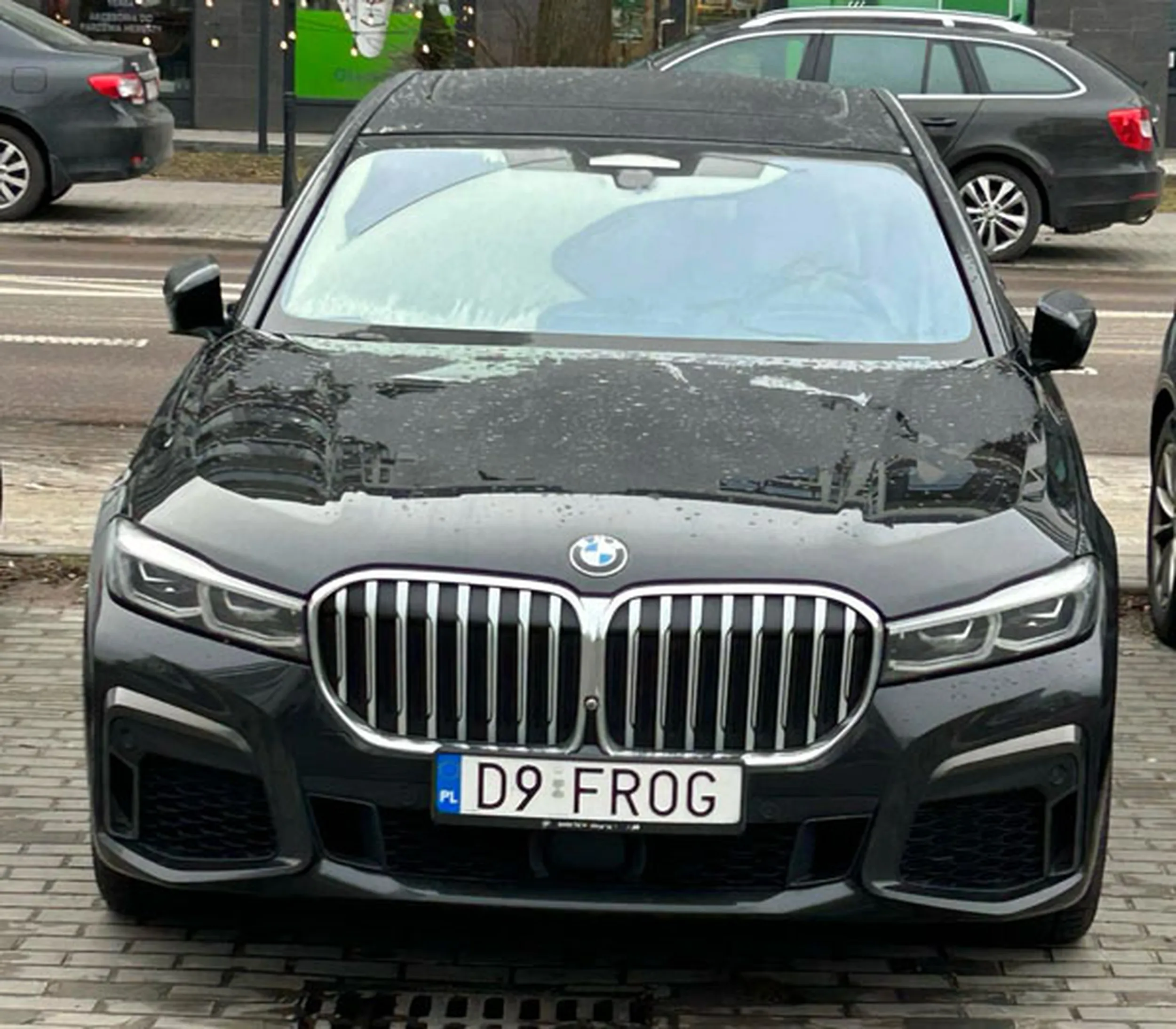 Fajny numer, blacha D9 FROG