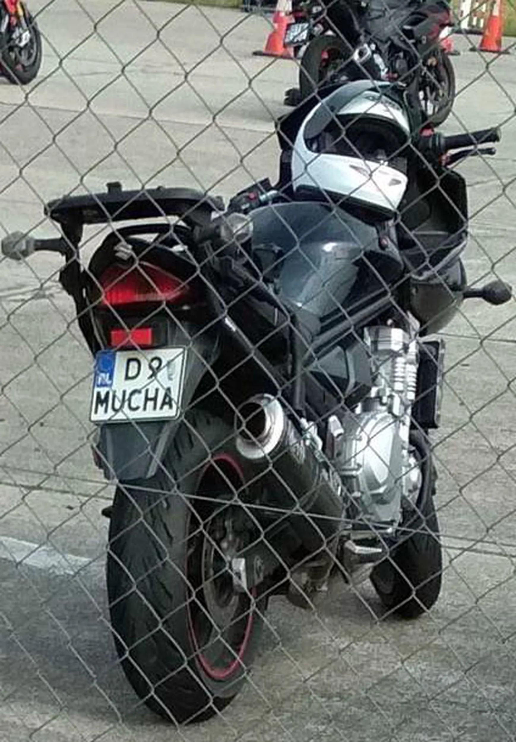 Fajny numer, blacha D9 MUCHA