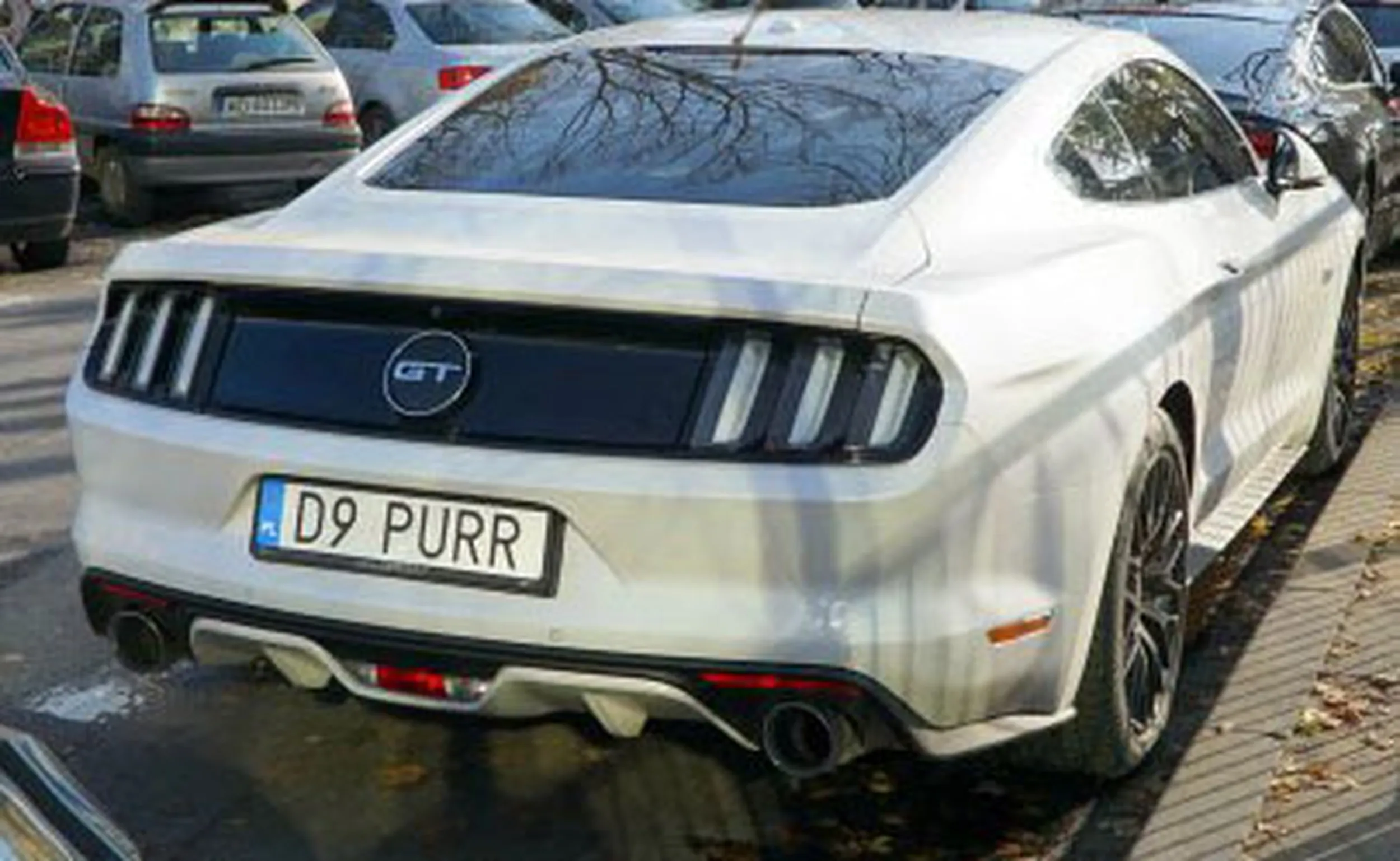 Fajny numer, blacha D9 PURR