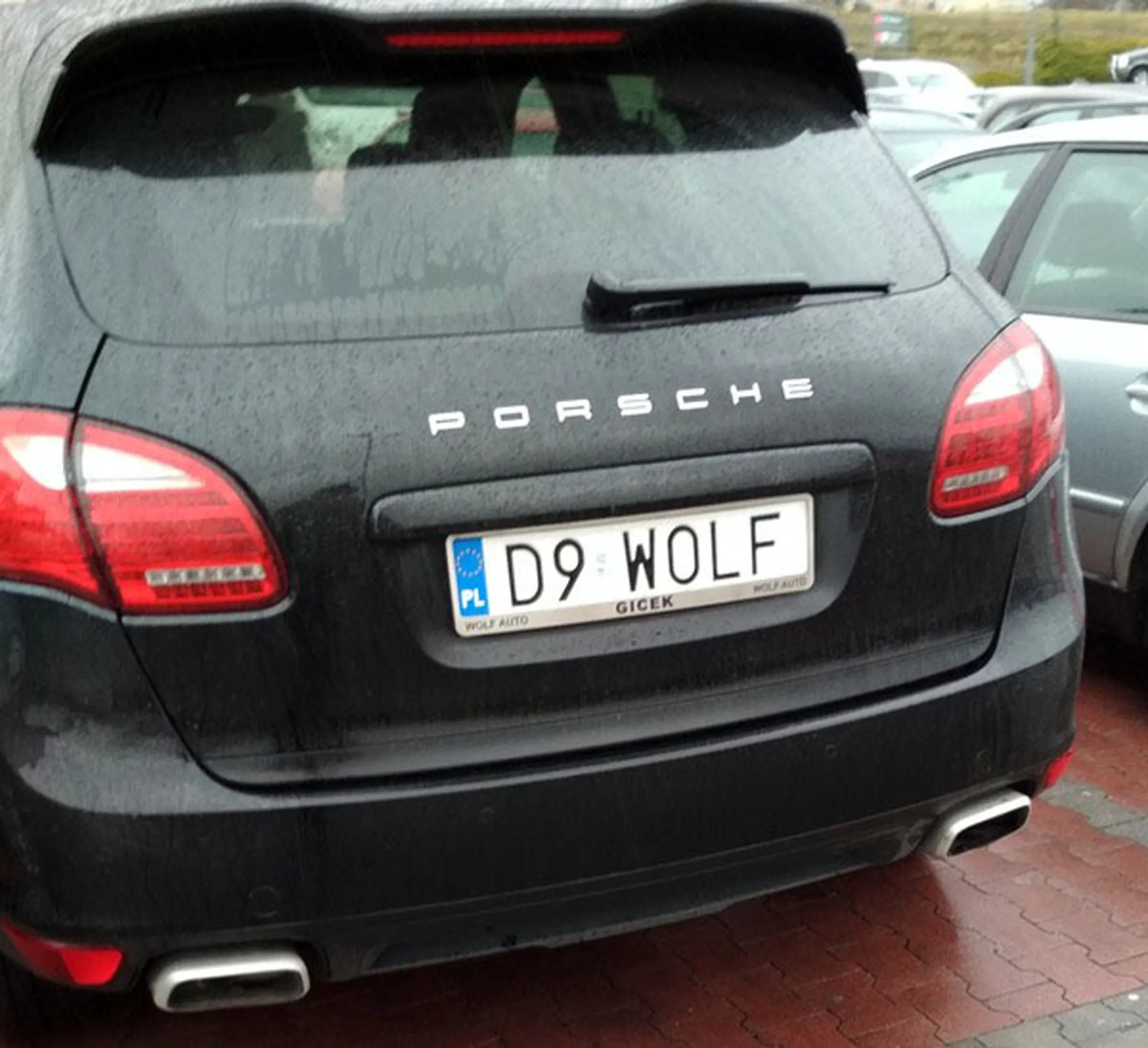Fajny numer, blacha D9 WOLF