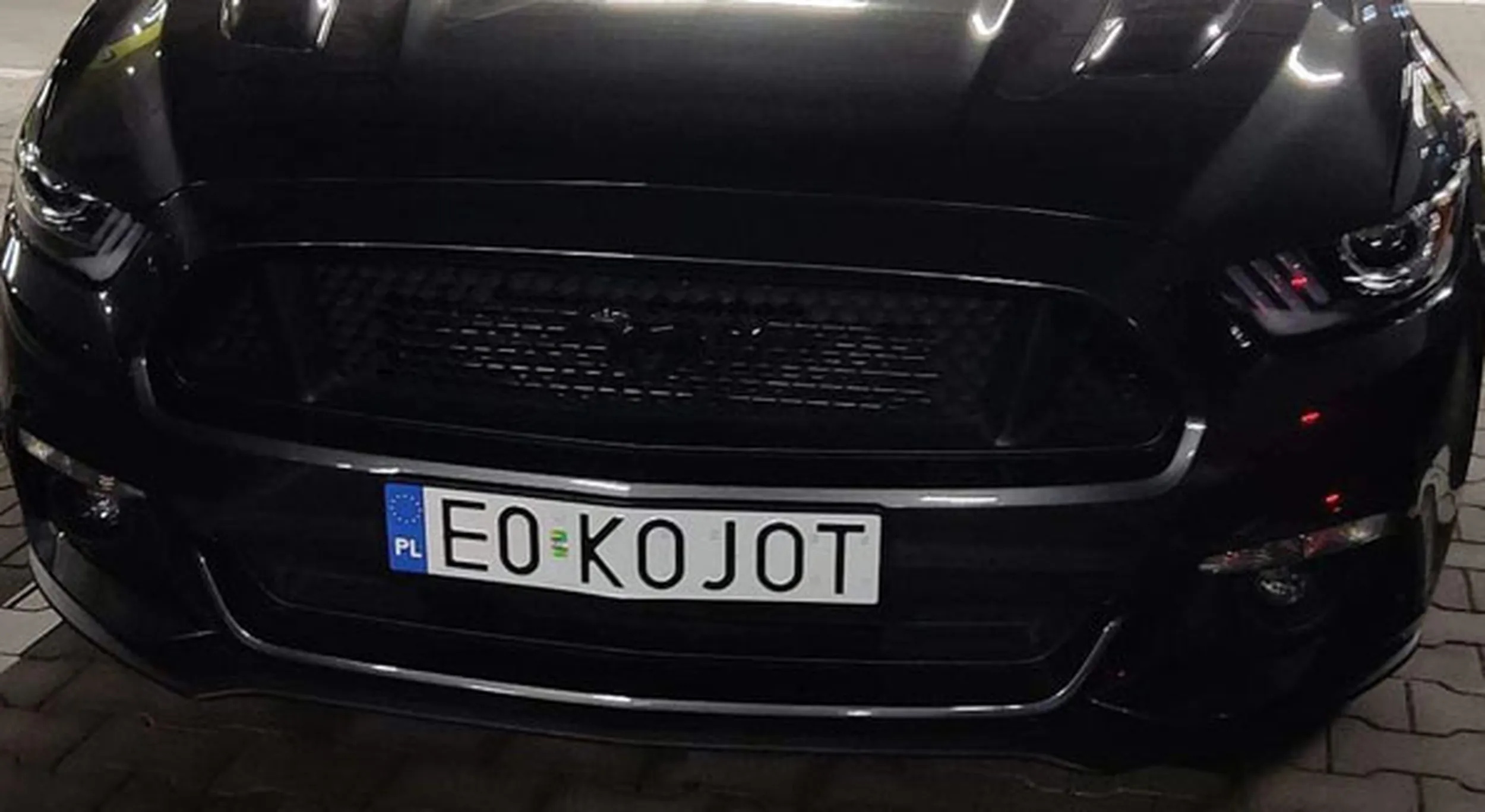 Fajny numer, blacha E0 KOJOT