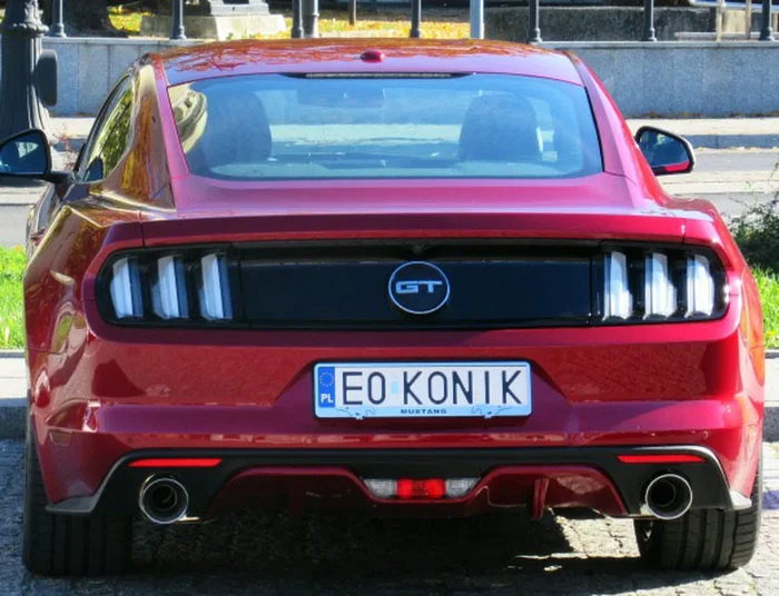 Fajny numer, blacha E0 KONIK