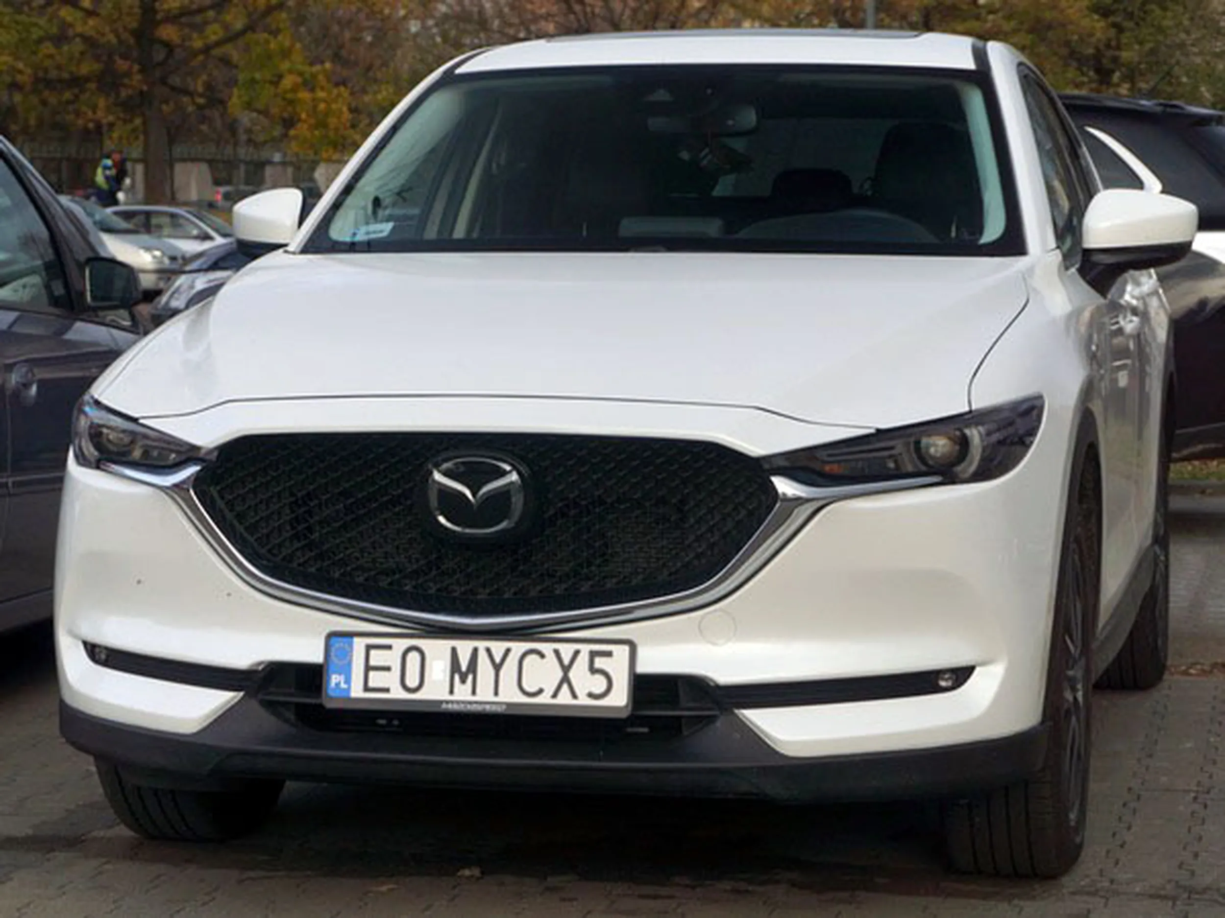 Fajny numer, blacha E0 MYCX5