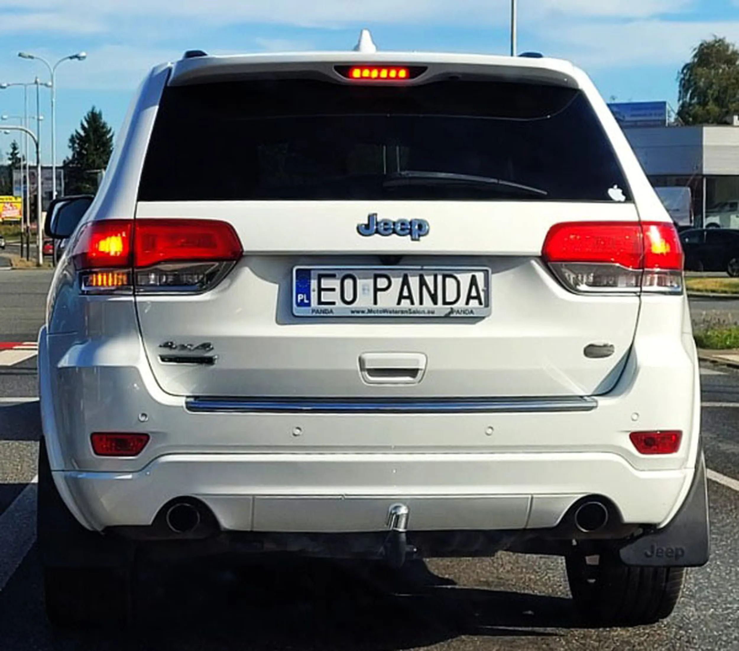 Fajny numer, blacha E0 PANDA