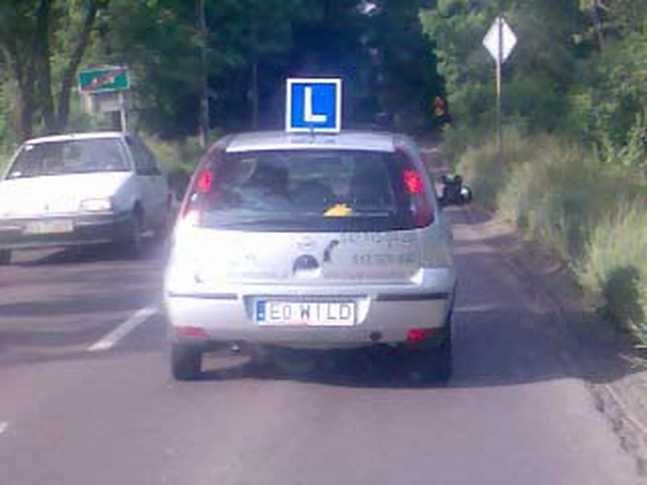 Fajny numer, blacha E0 WILD