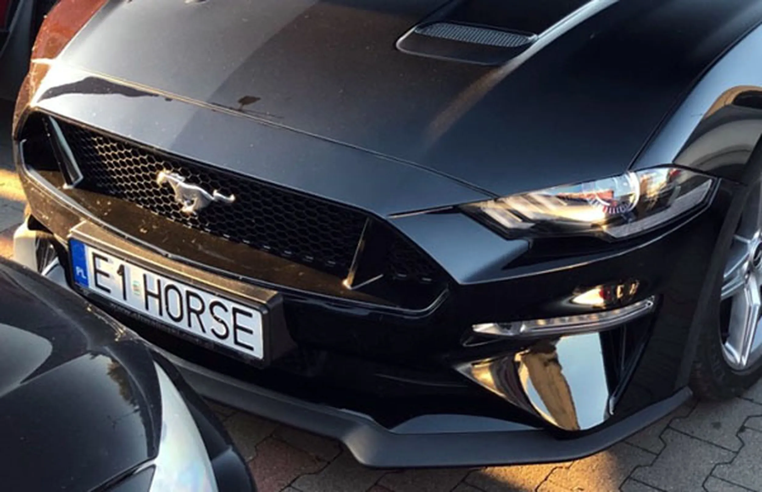 Fajny numer, blacha E1 HORSE