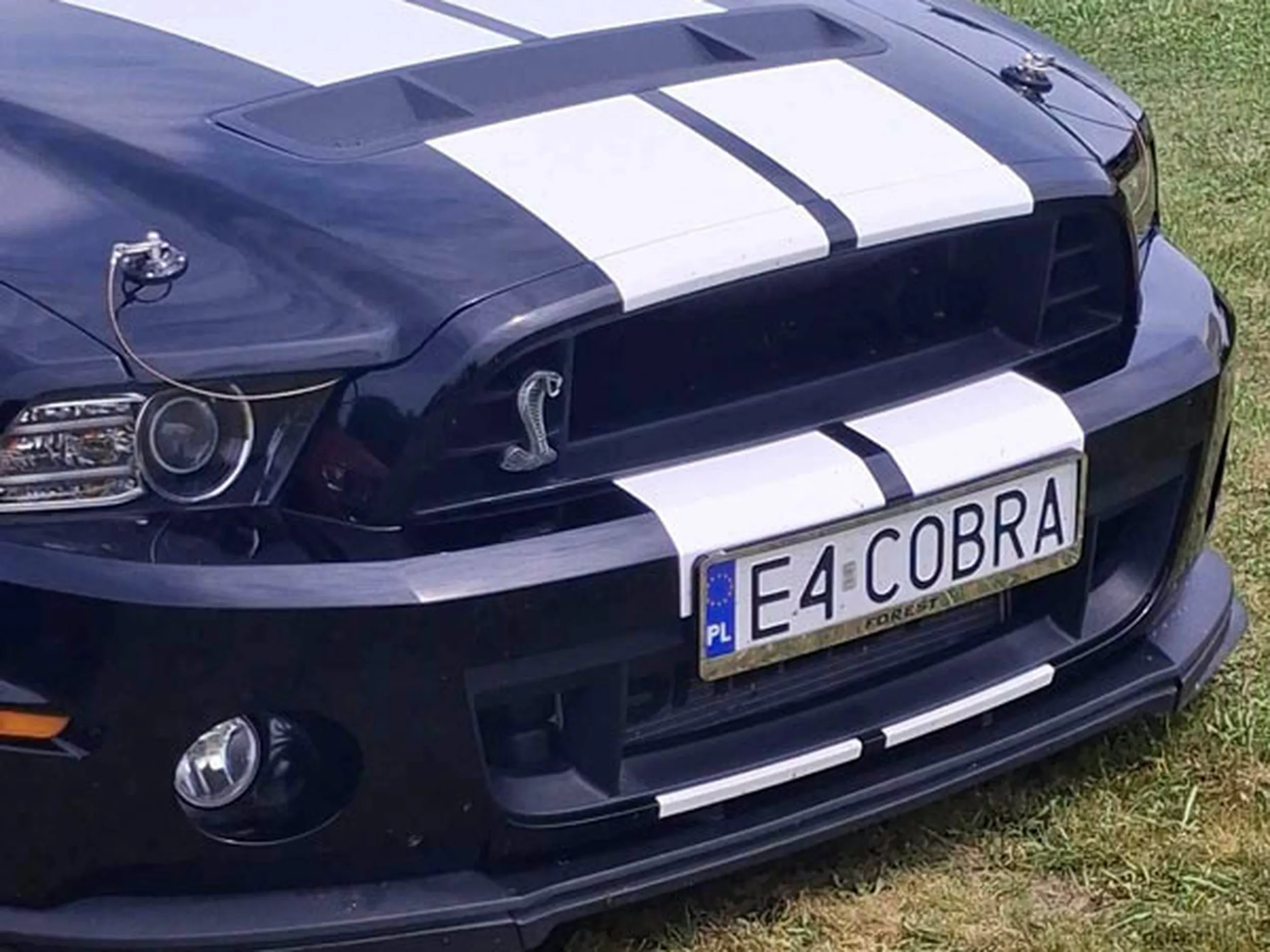 Fajny numer, blacha E4 COBRA