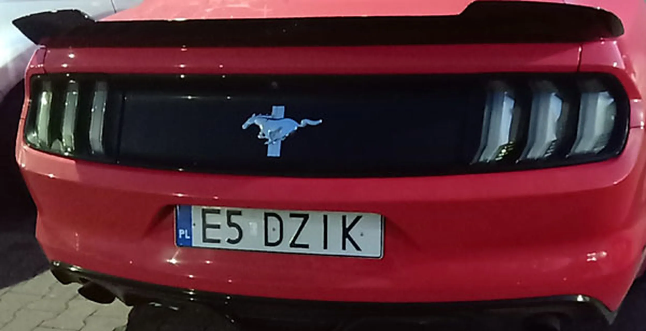 Fajny numer, blacha E5 DZIK