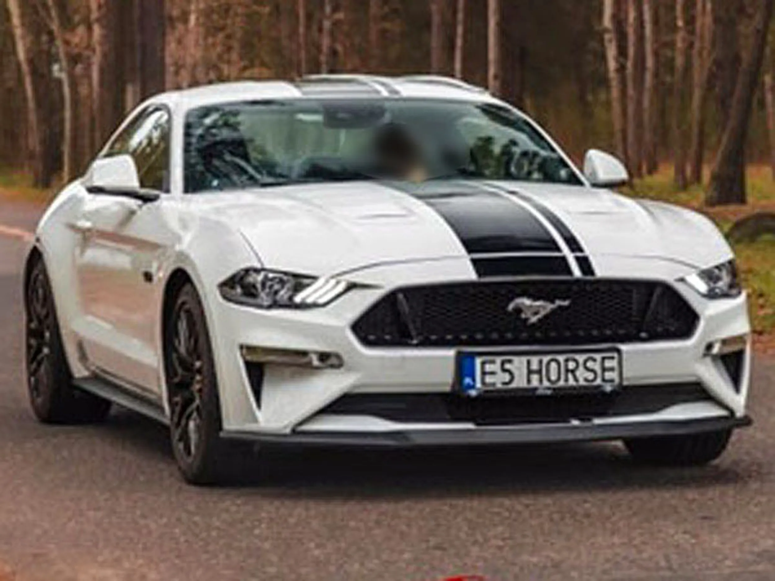 Fajny numer, blacha E5 HORSE