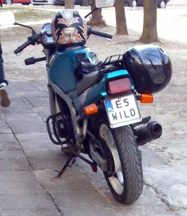 Fajny numer, blacha E5 WILD