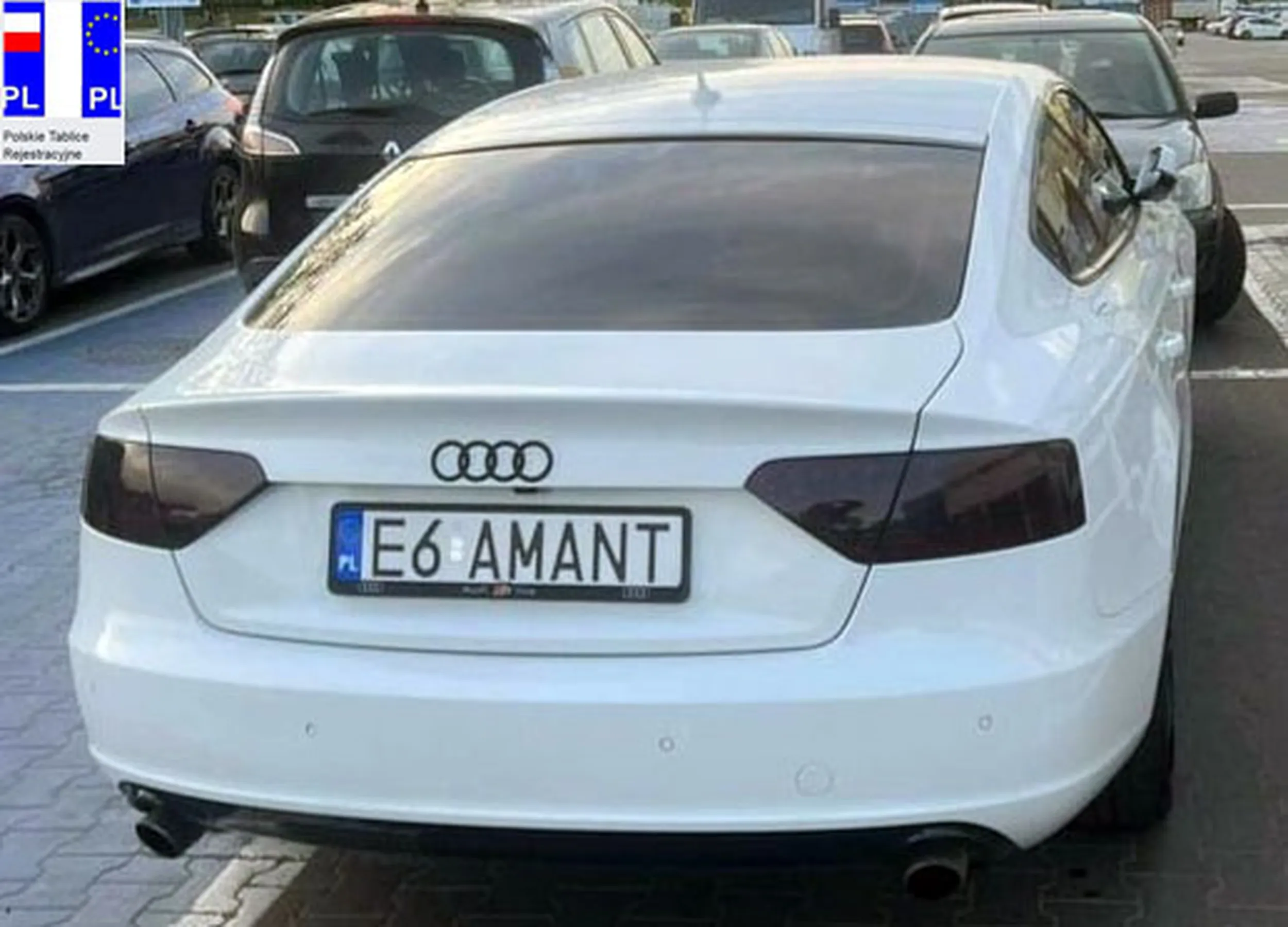 Fajny numer, blacha E6 AMANT