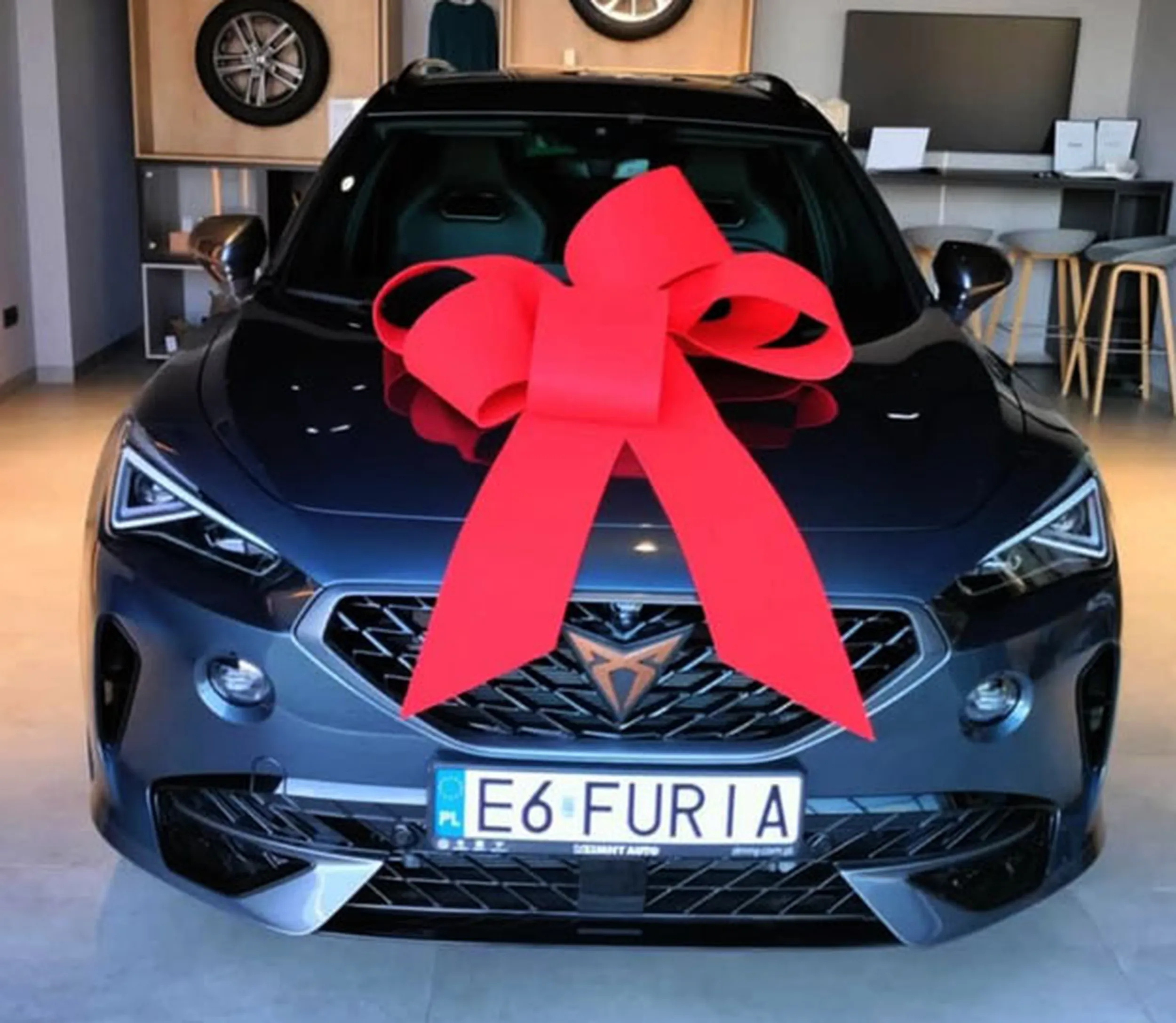 Fajny numer, blacha E6 FURIA