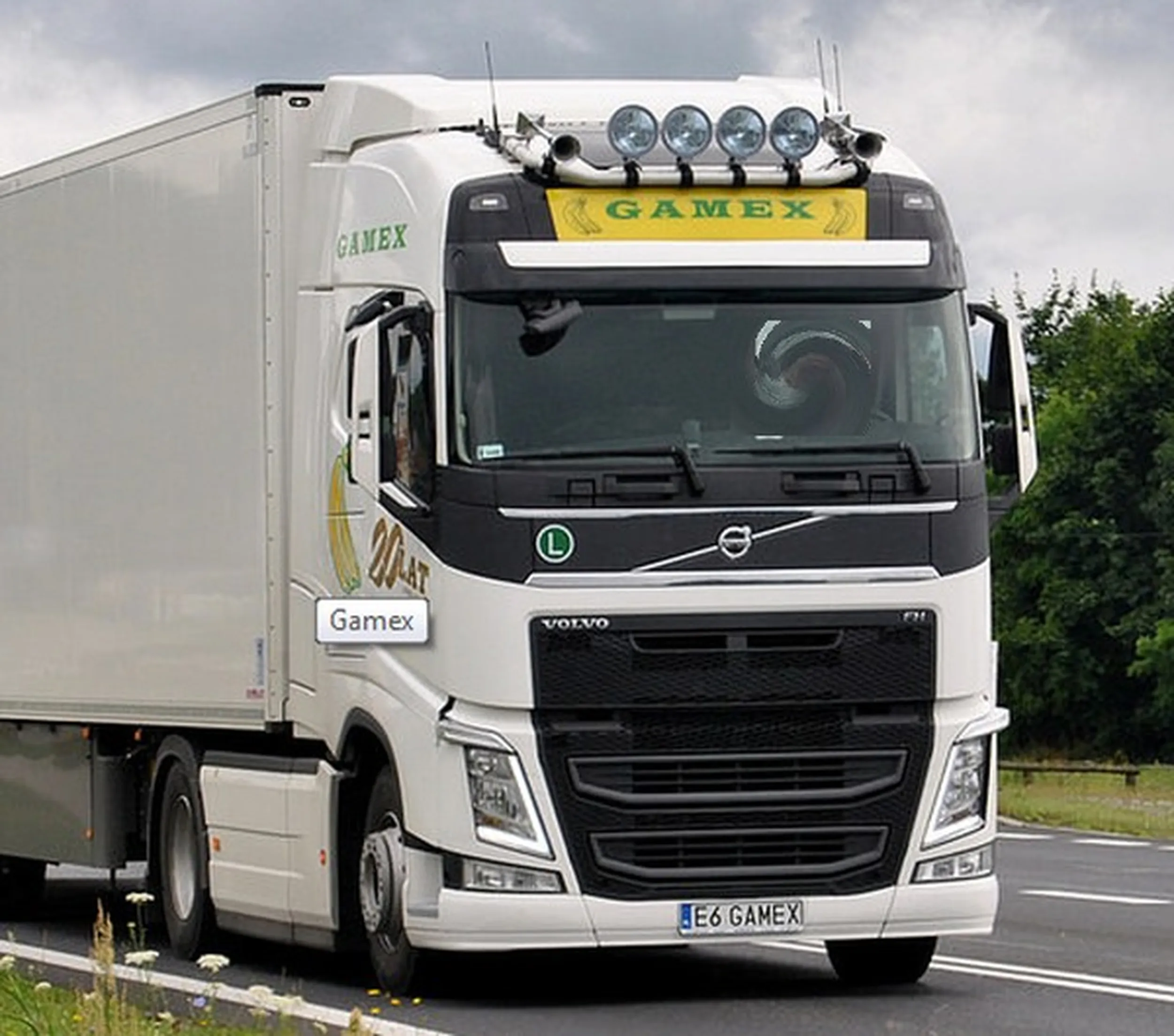 Fajny numer, blacha E6 GAMEX