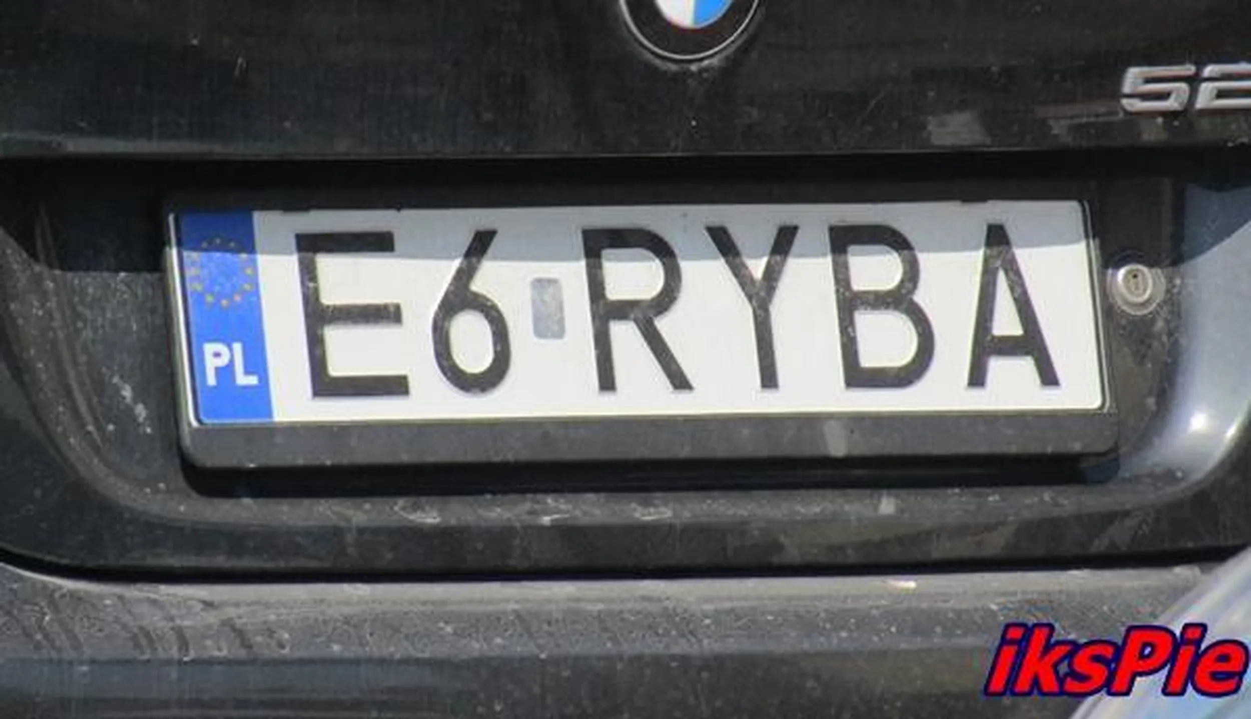 Fajny numer, blacha E6 RYBA