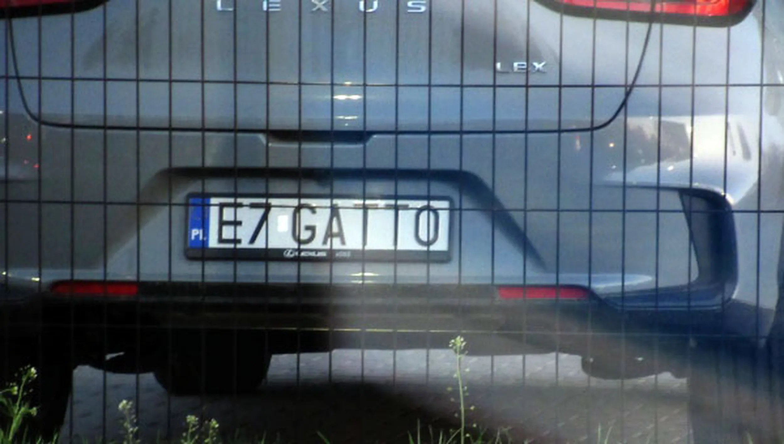 Fajny numer, blacha E7 GATTO