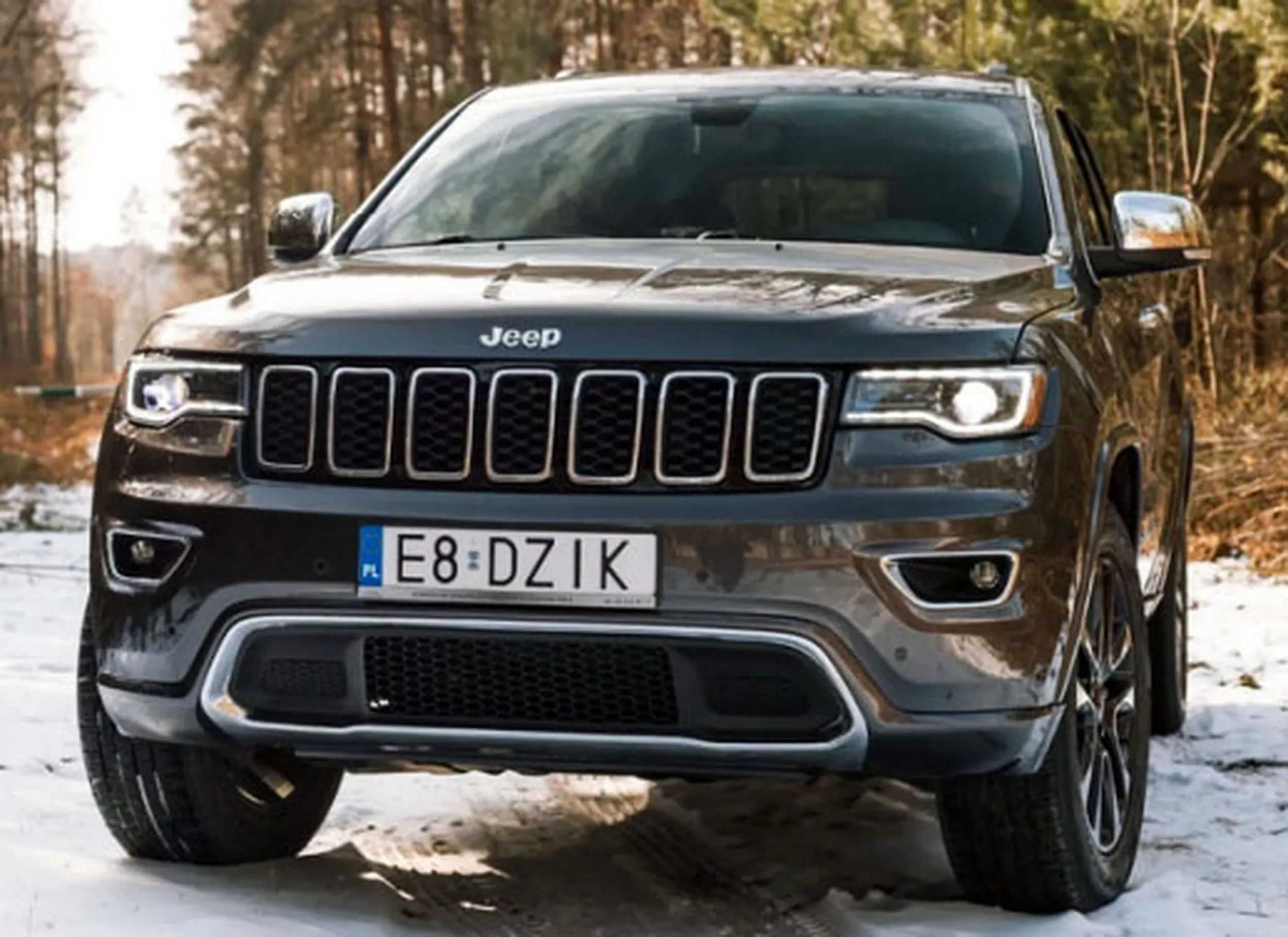 Fajny numer, blacha E8 DZIK