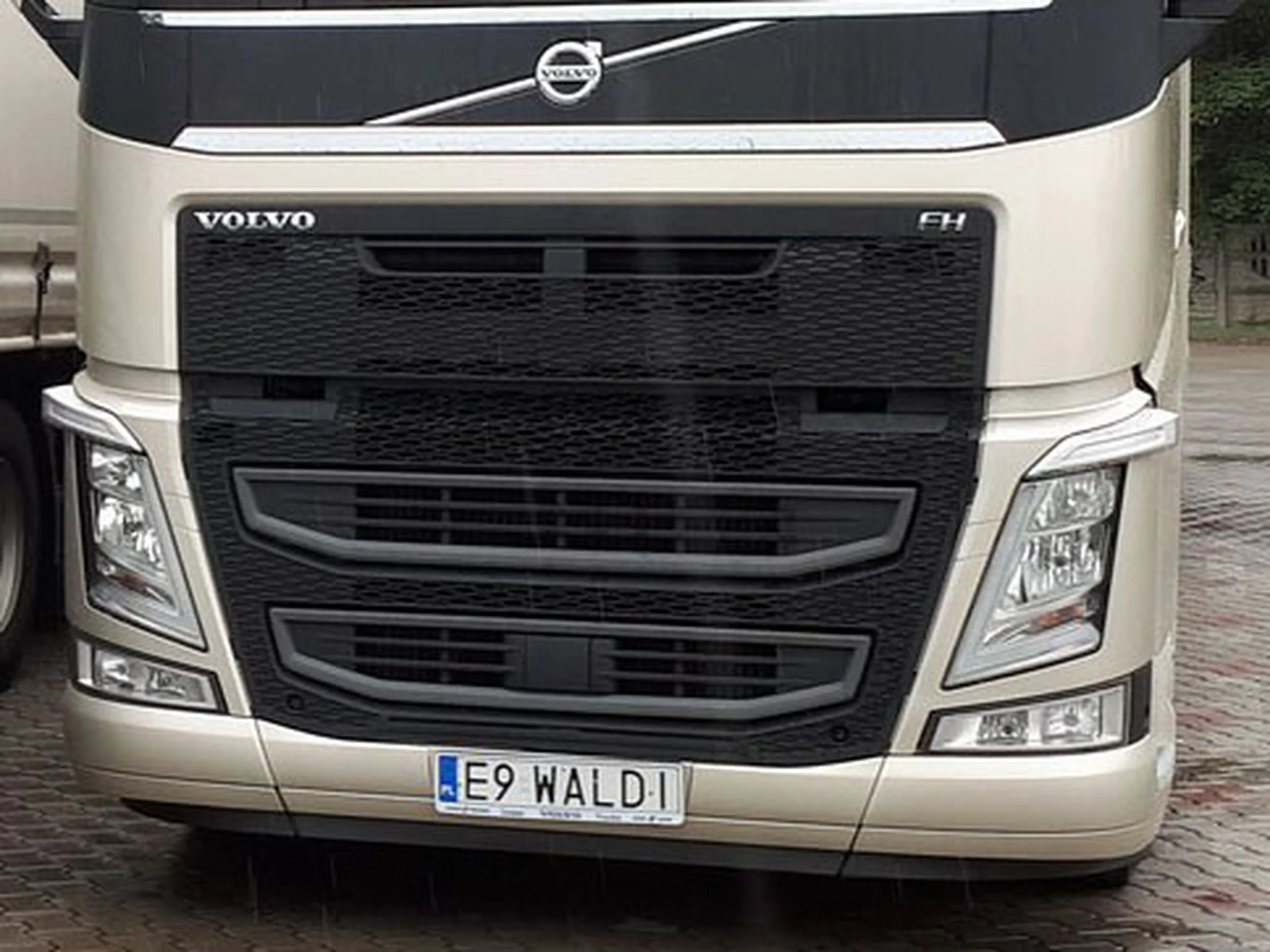 Fajny numer, blacha E9 WALDI