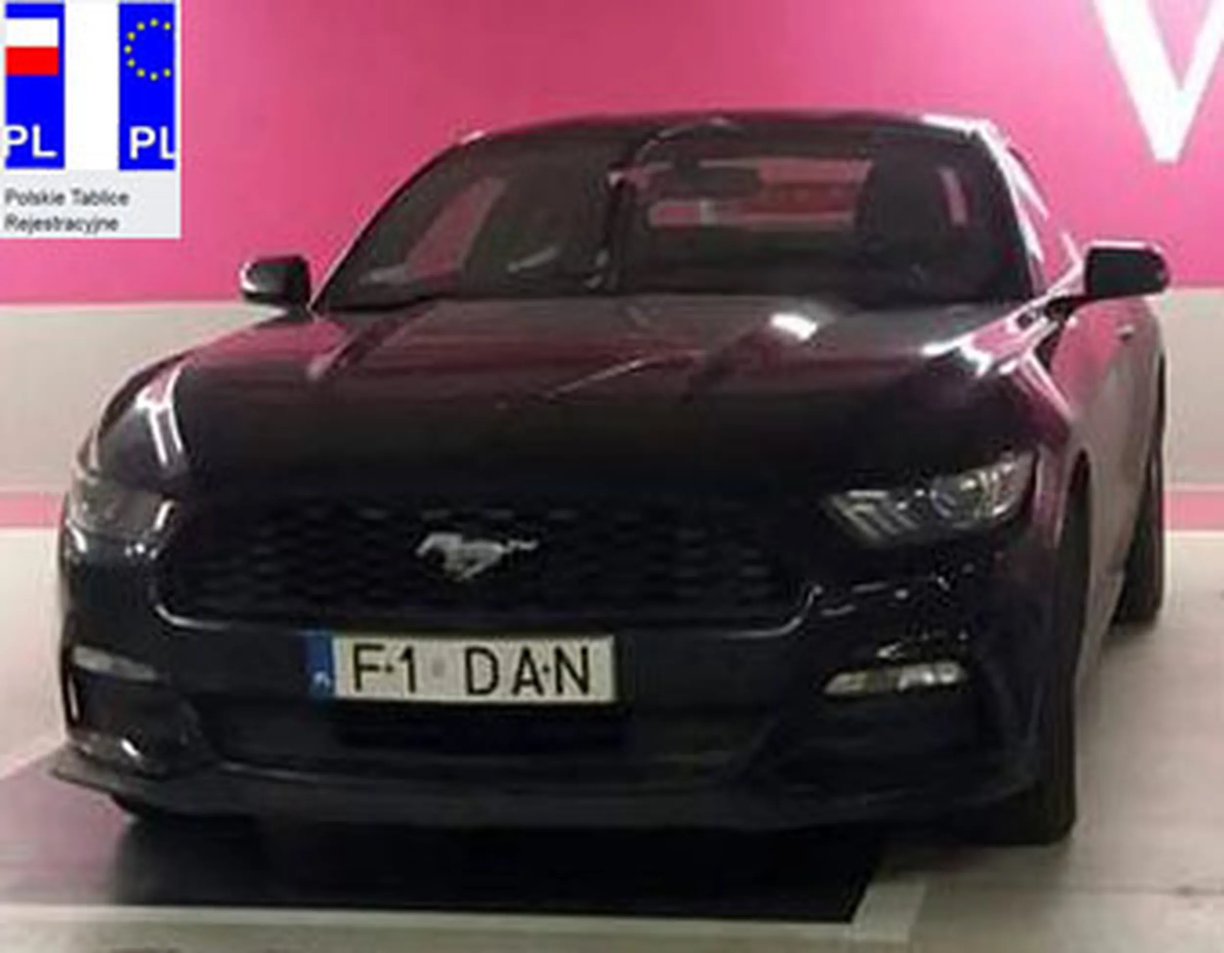 Fajny numer, blacha F1 DAN