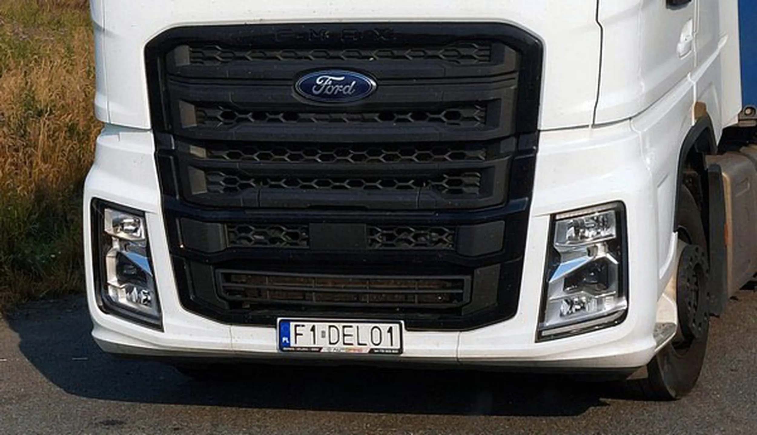 Fajny numer, blacha F1 DELO1