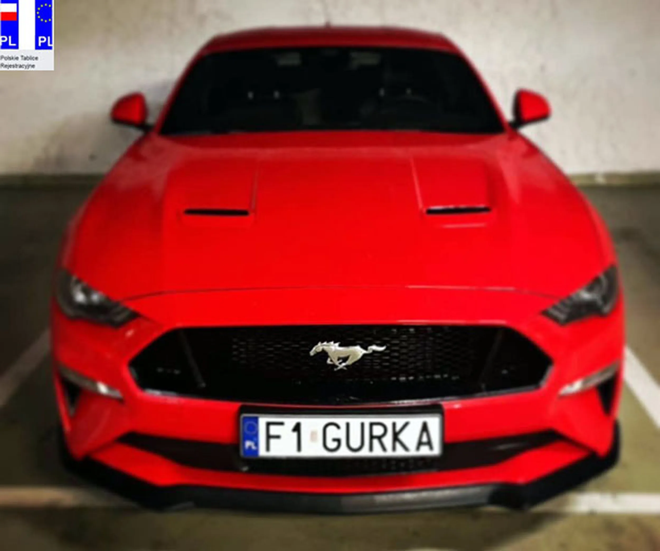 Fajny numer, blacha F1 GURKA