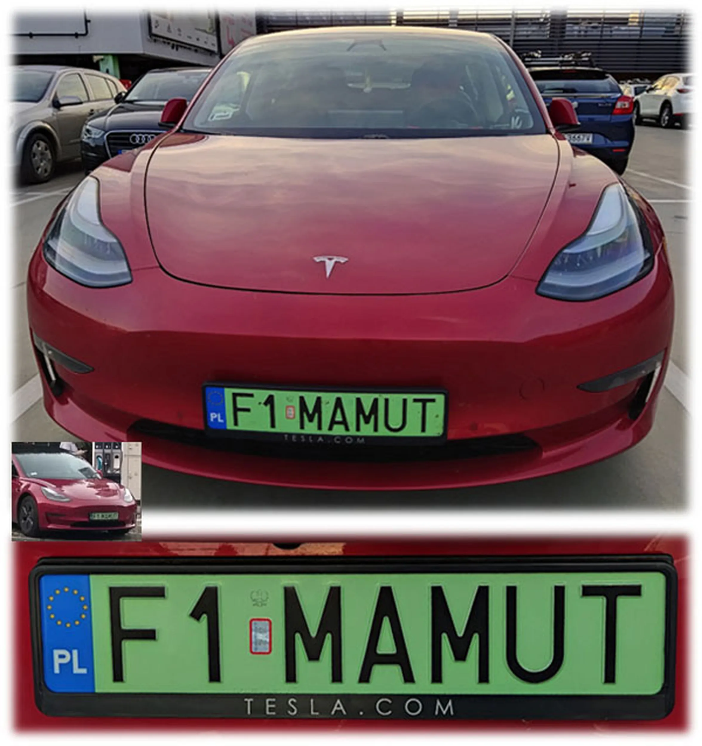 Fajny numer, blacha F1 MAMUT