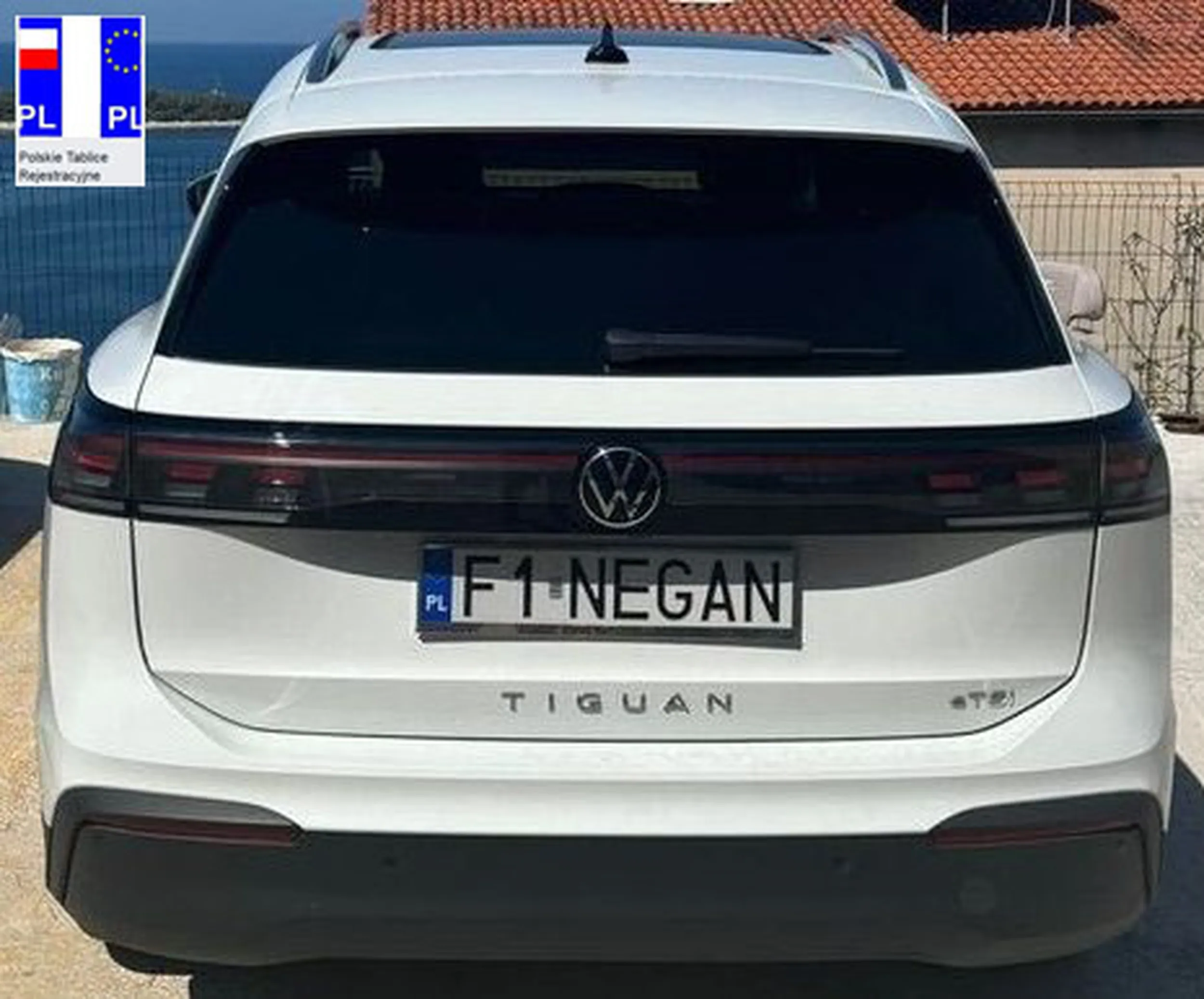 Fajny numer, blacha F1 NEGAN