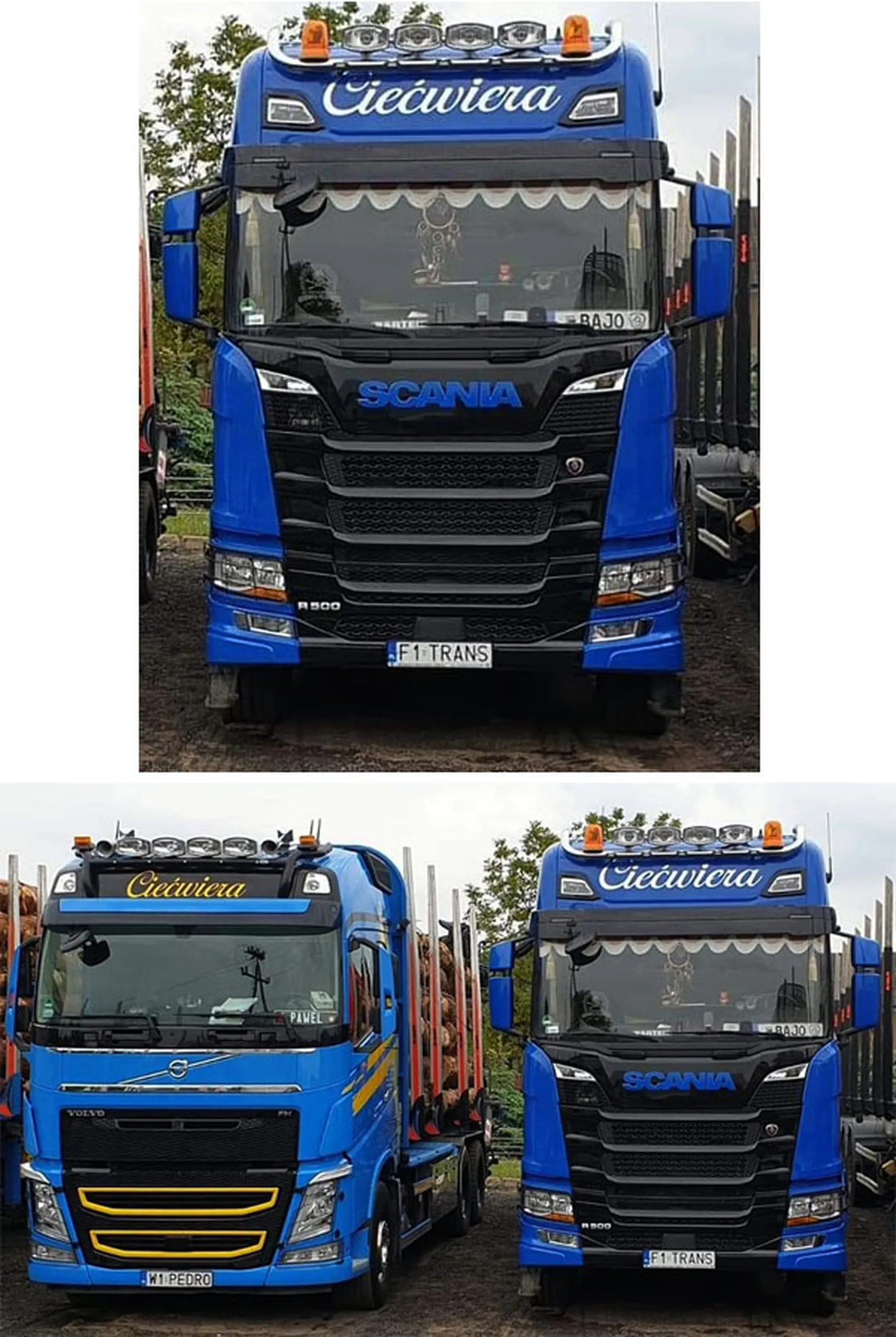 Fajny numer, blacha F1 TRANS