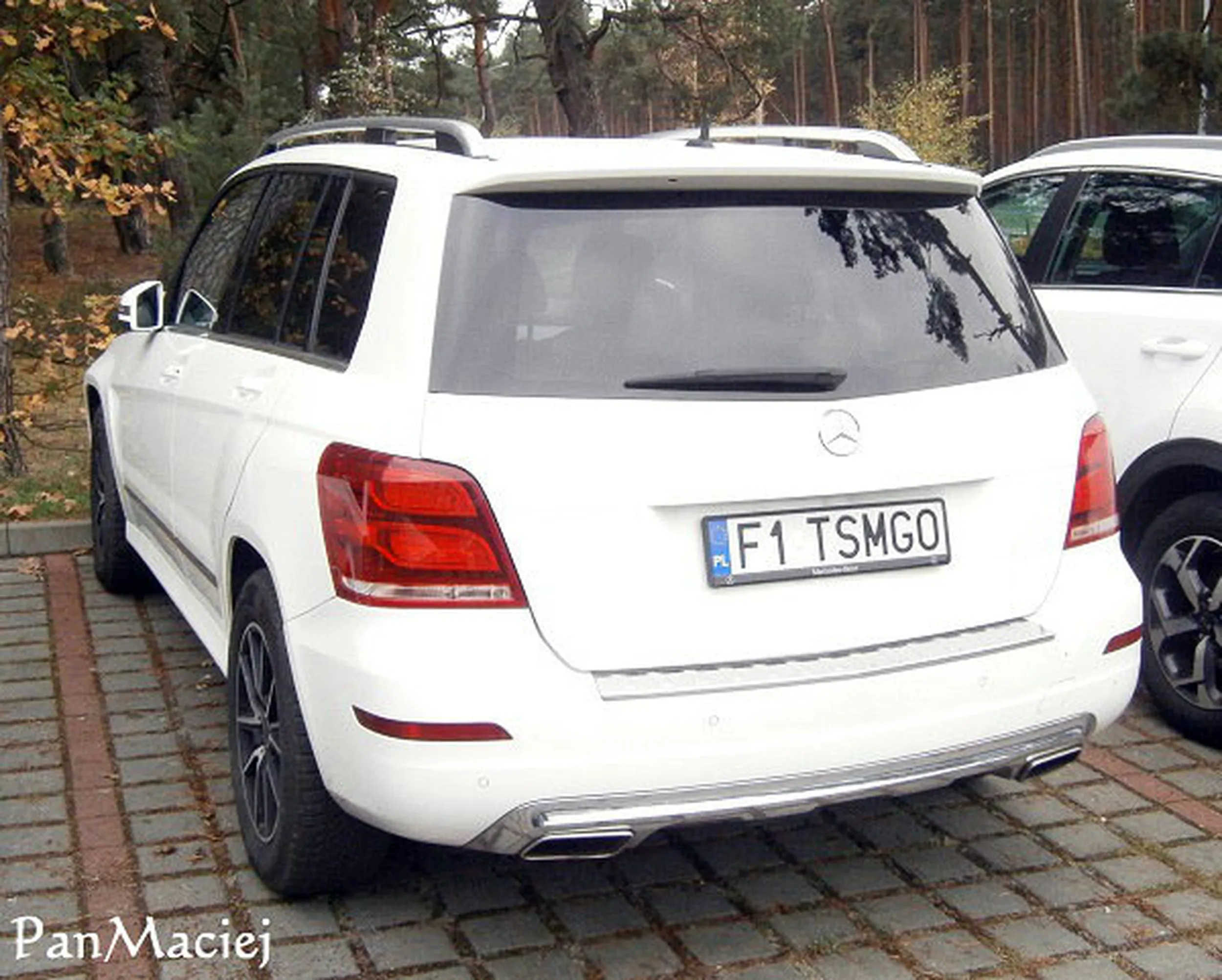 Fajny numer, blacha F1 TSMGO