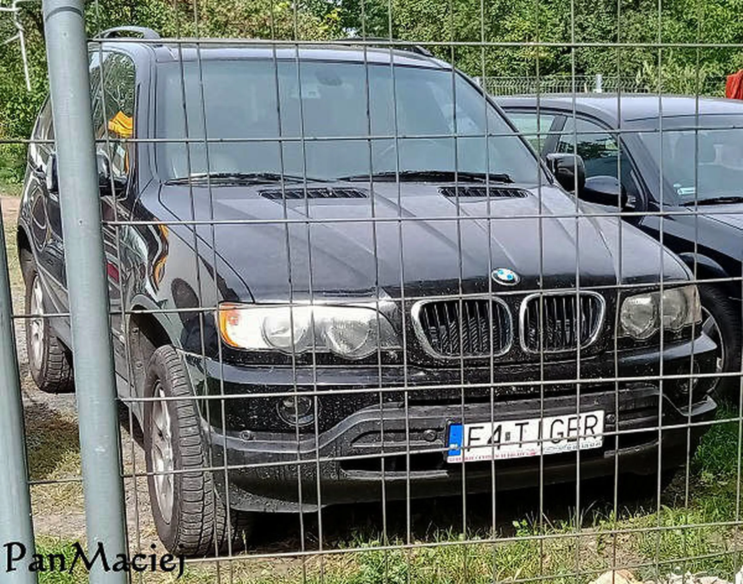 Fajny numer, blacha F4 TIGER