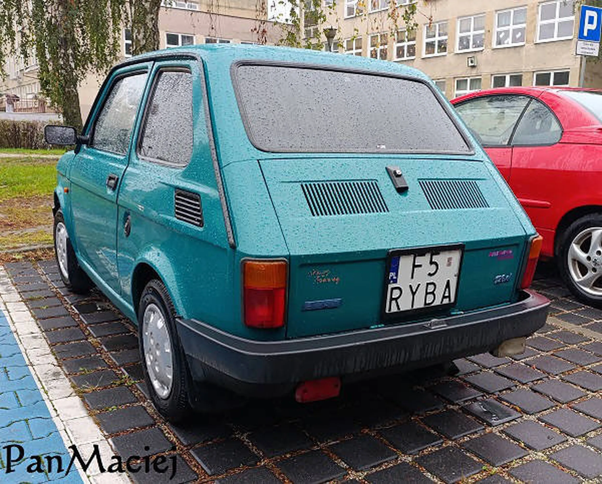 Fajny numer, blacha F5 RYBA