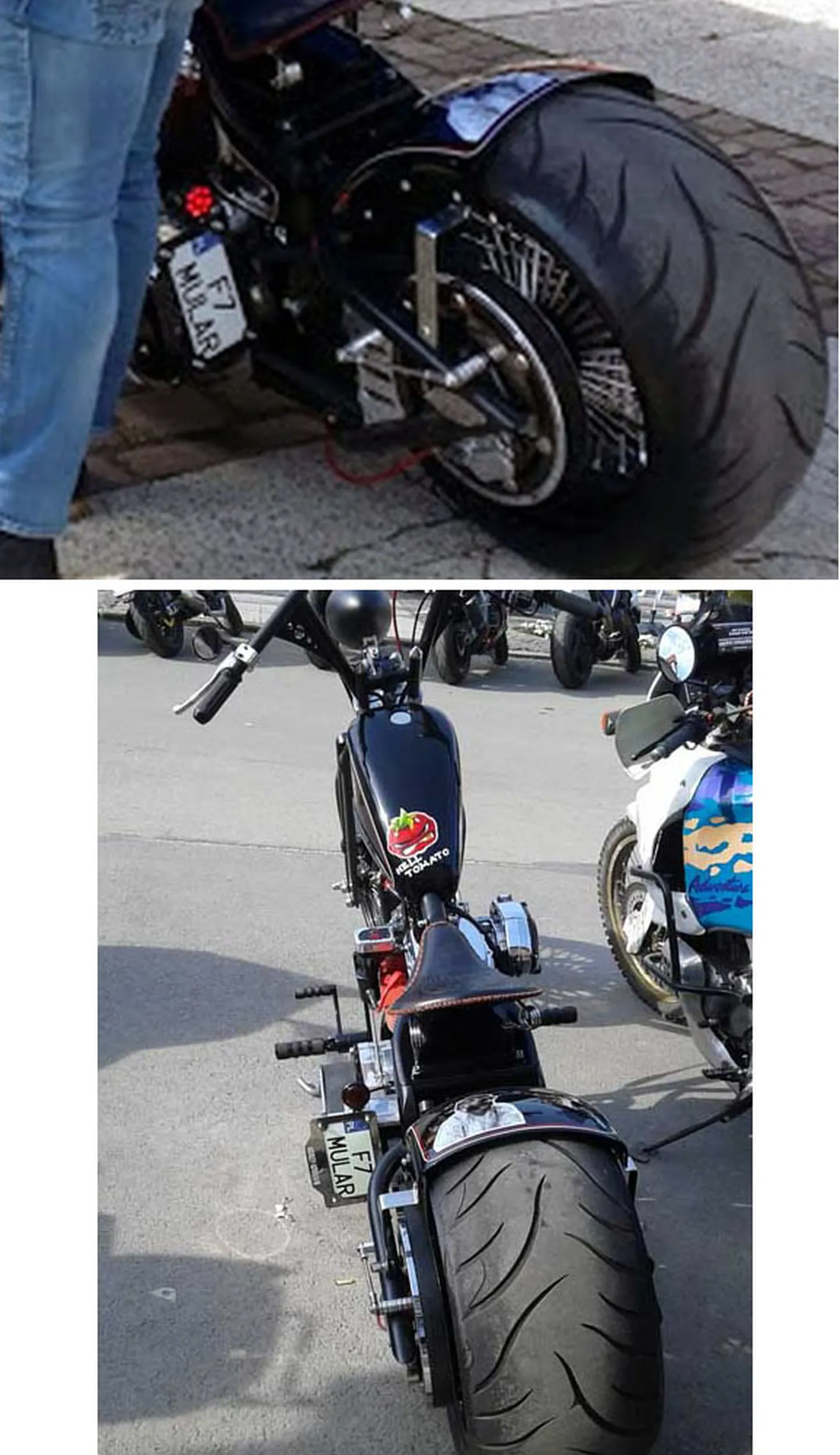 Fajny numer, blacha F7 MULAR