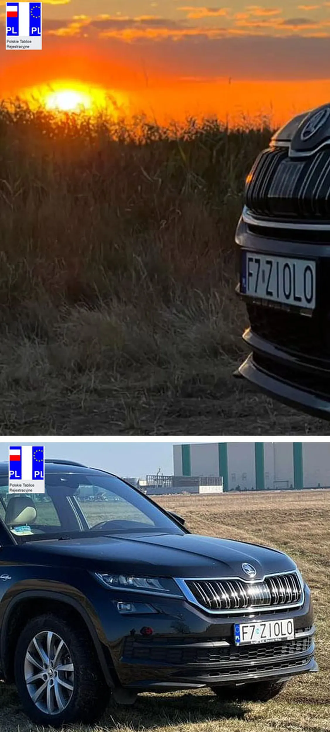 Fajny numer, blacha F7 ZIOLO