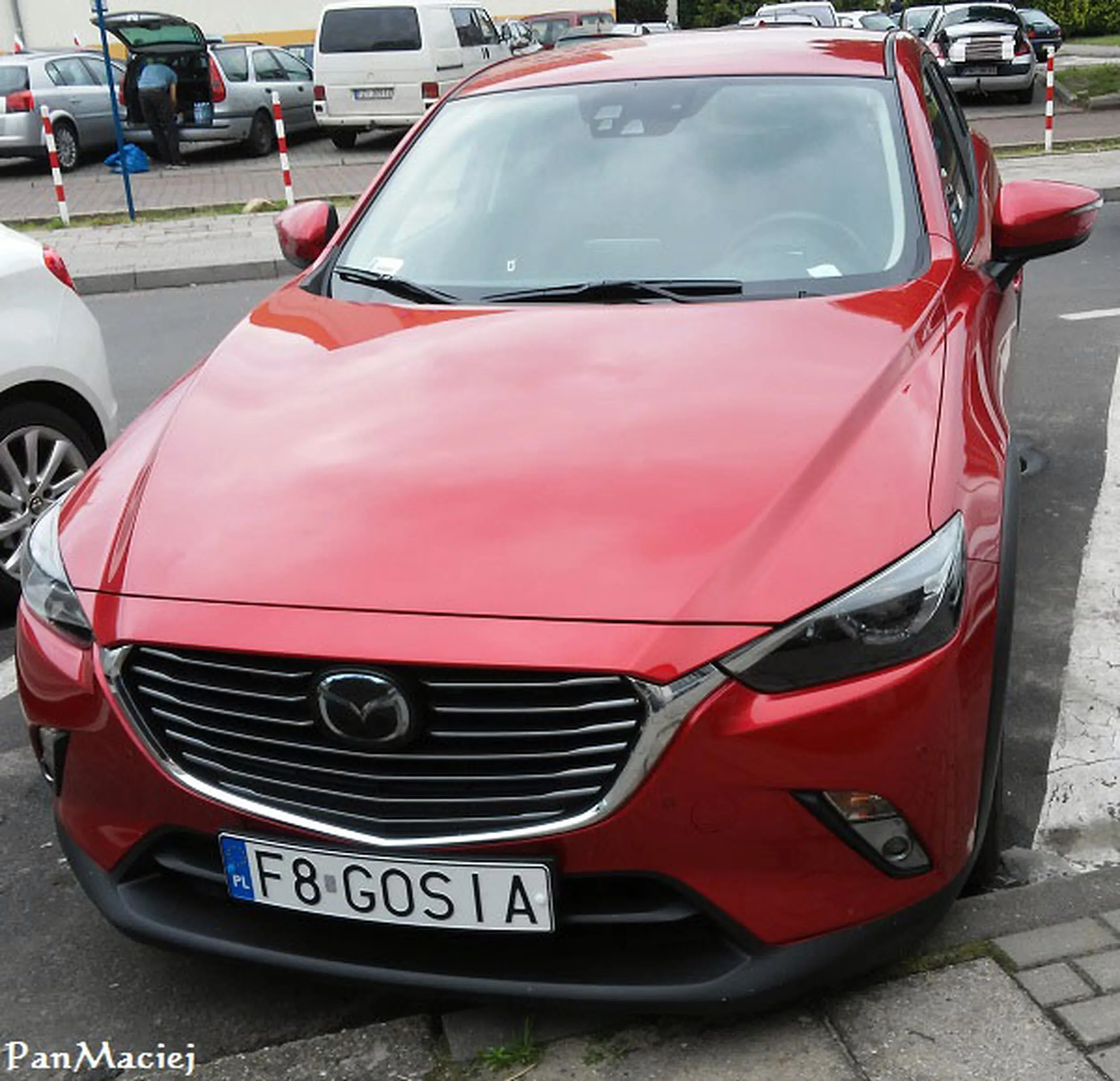 Fajny numer, blacha F8 GOSIA