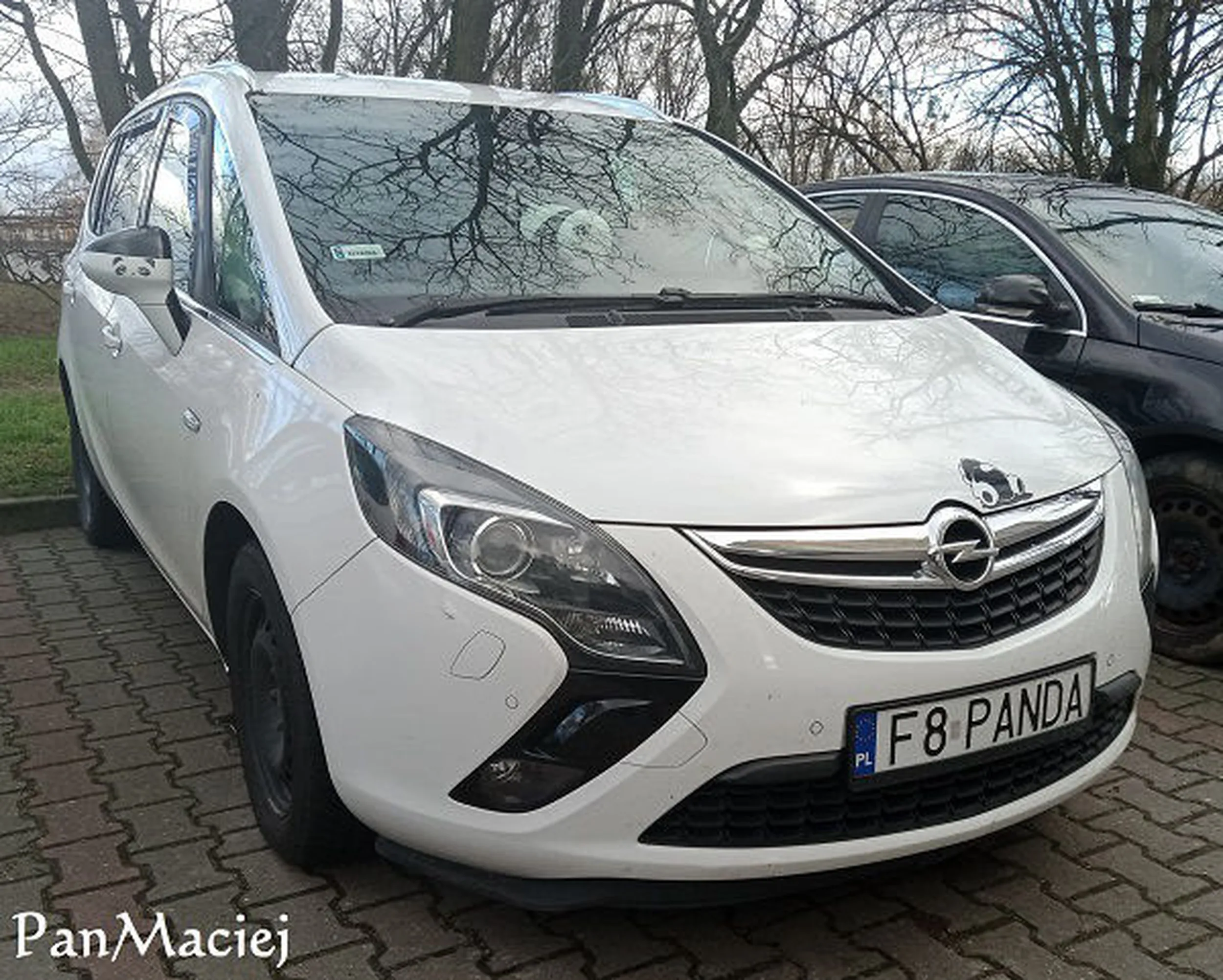 Fajny numer, blacha F8 PANDA