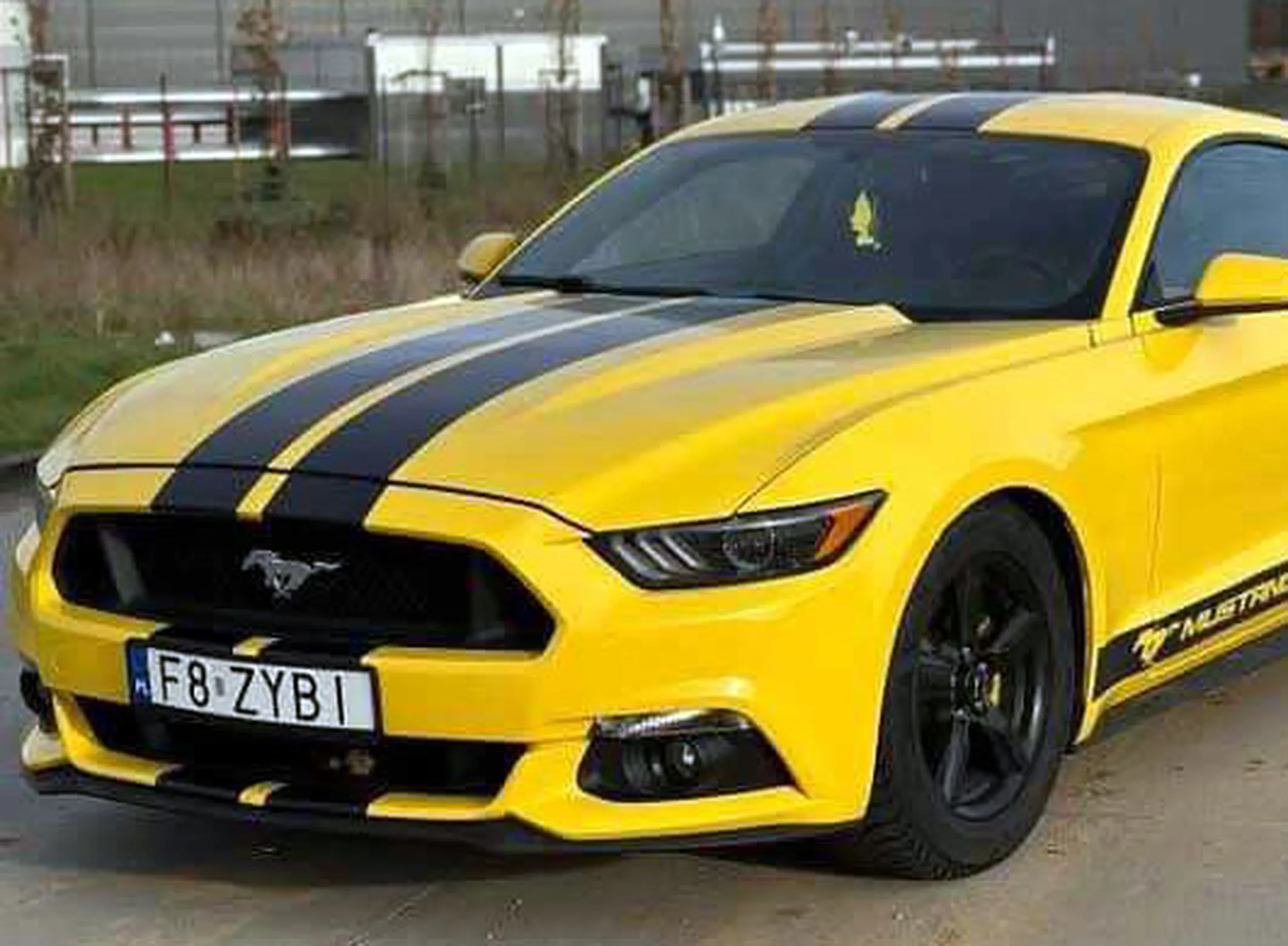 Fajny numer, blacha F8 ZYBI