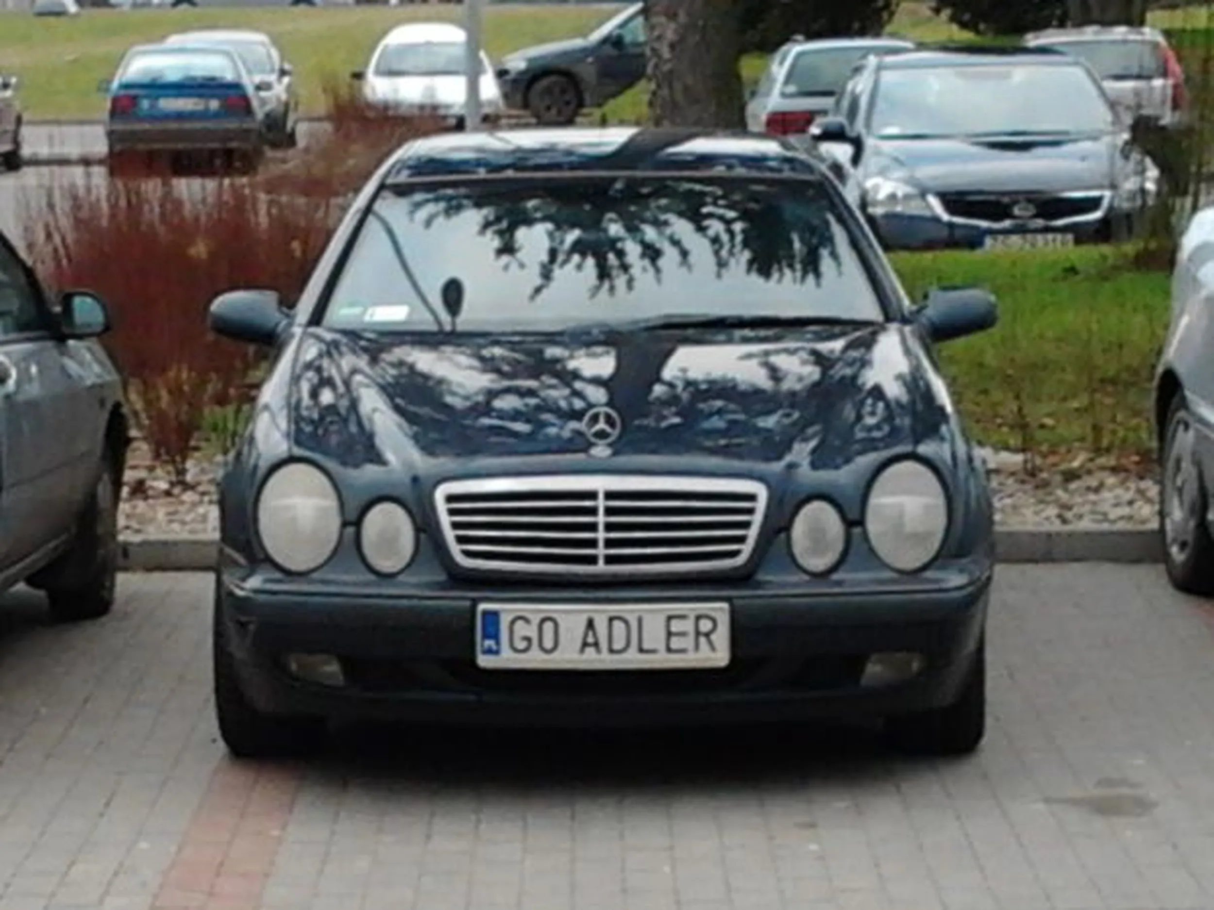 Fajny numer, blacha G0 ADLER