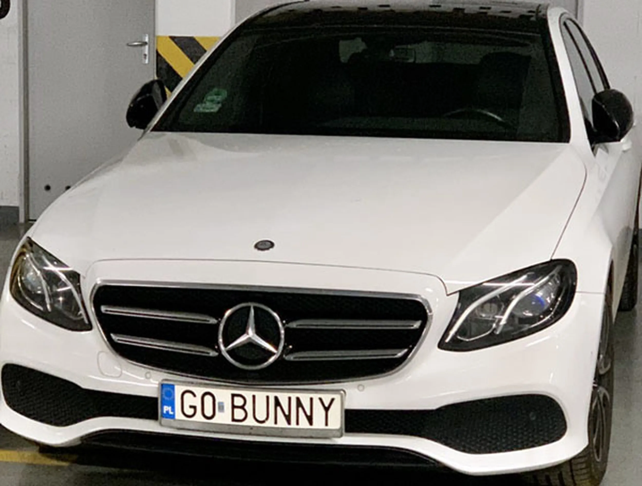 Fajny numer, blacha G0 BUNNY