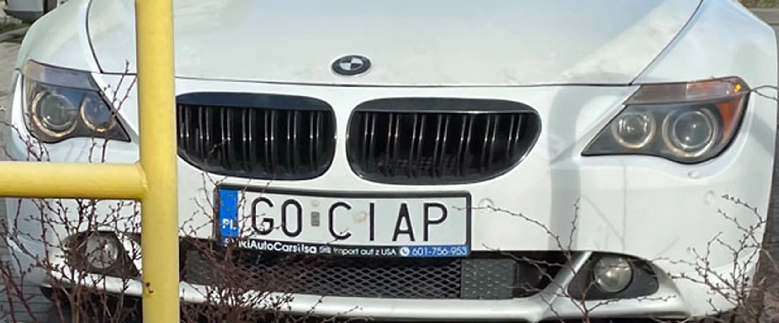 Fajny numer, blacha G0 CIAP