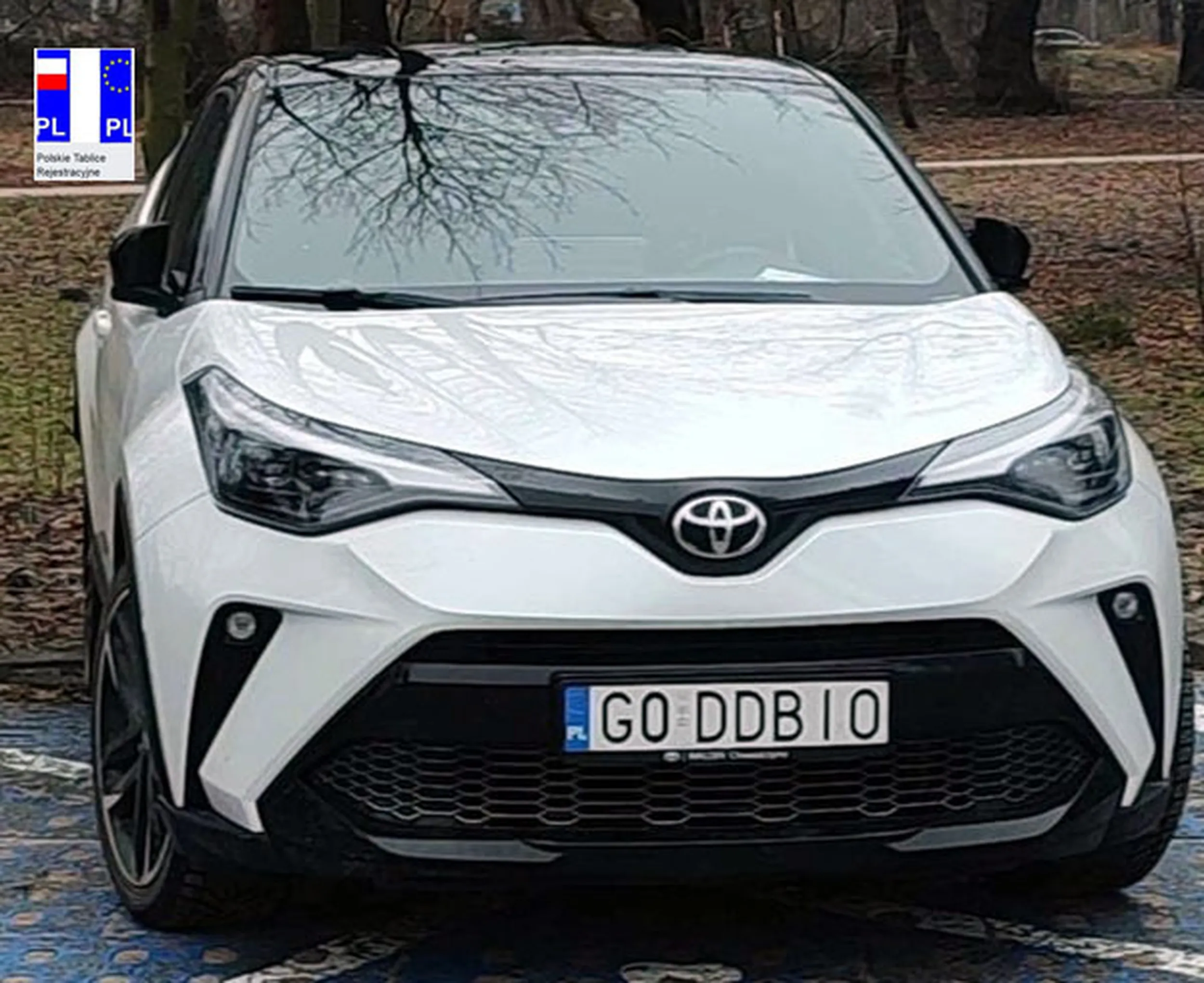 Fajny numer, blacha G0 DDBIO