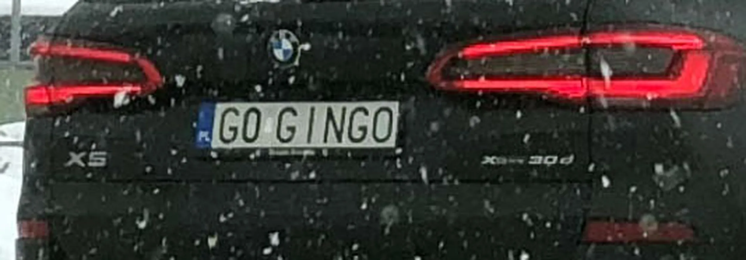 Fajny numer, blacha G0 GINGO