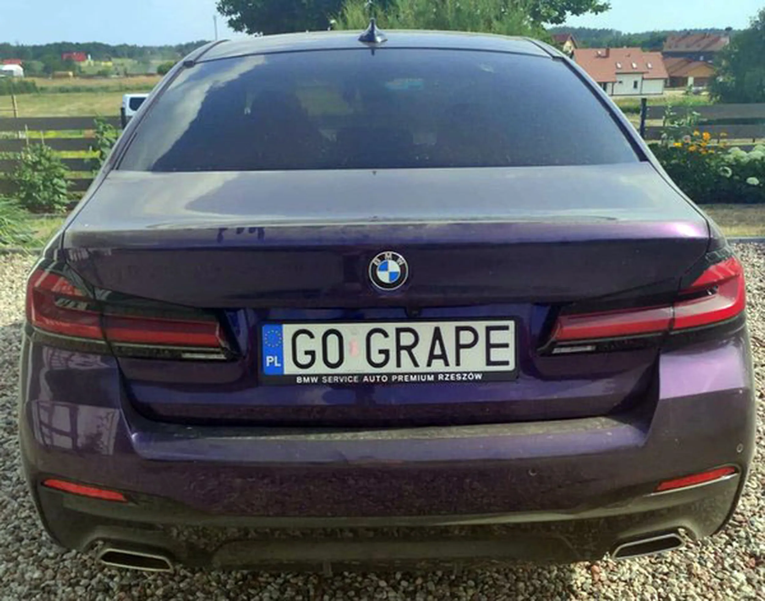 Fajny numer, blacha G0 GRAPE