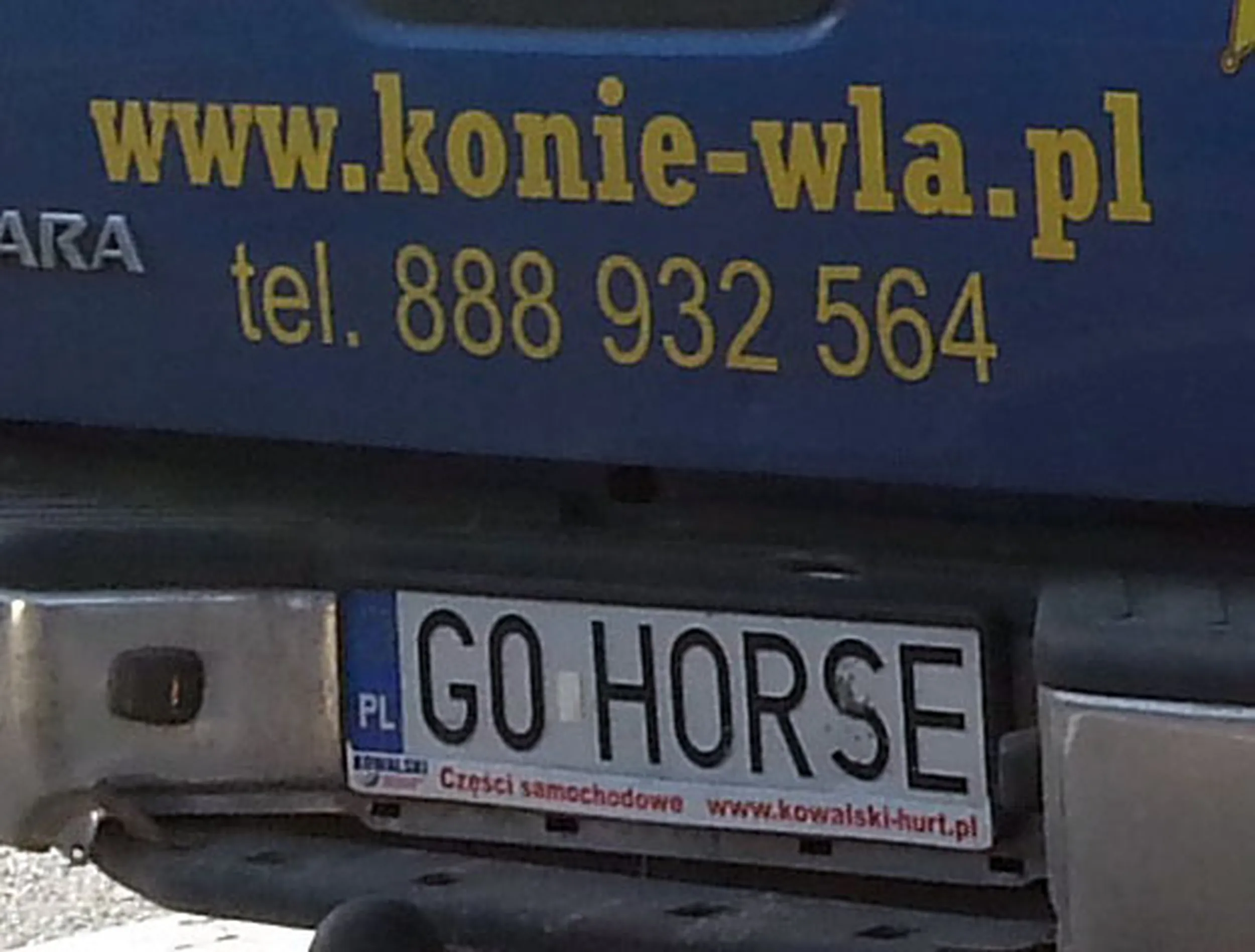 Fajny numer, blacha G0 HORSE