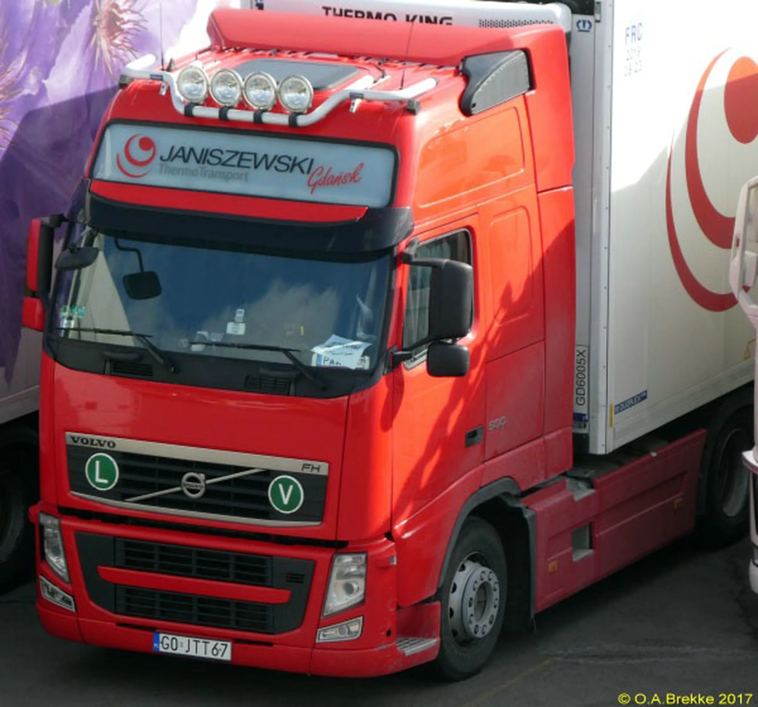 Fajny numer, blacha G0 JTT67