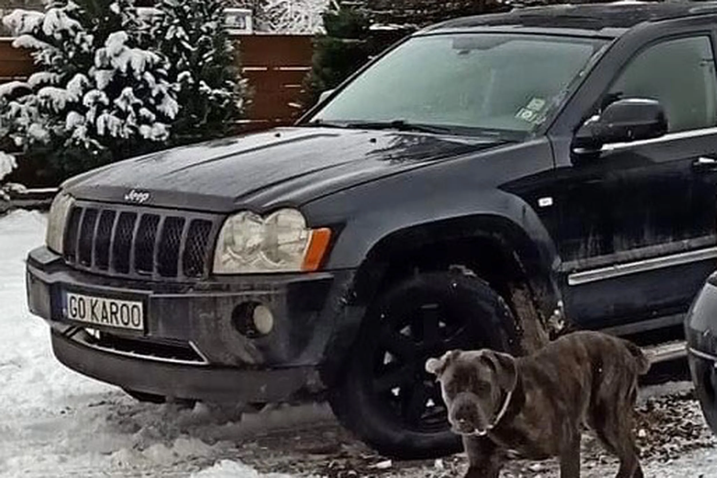 Fajny numer, blacha G0 KAROO