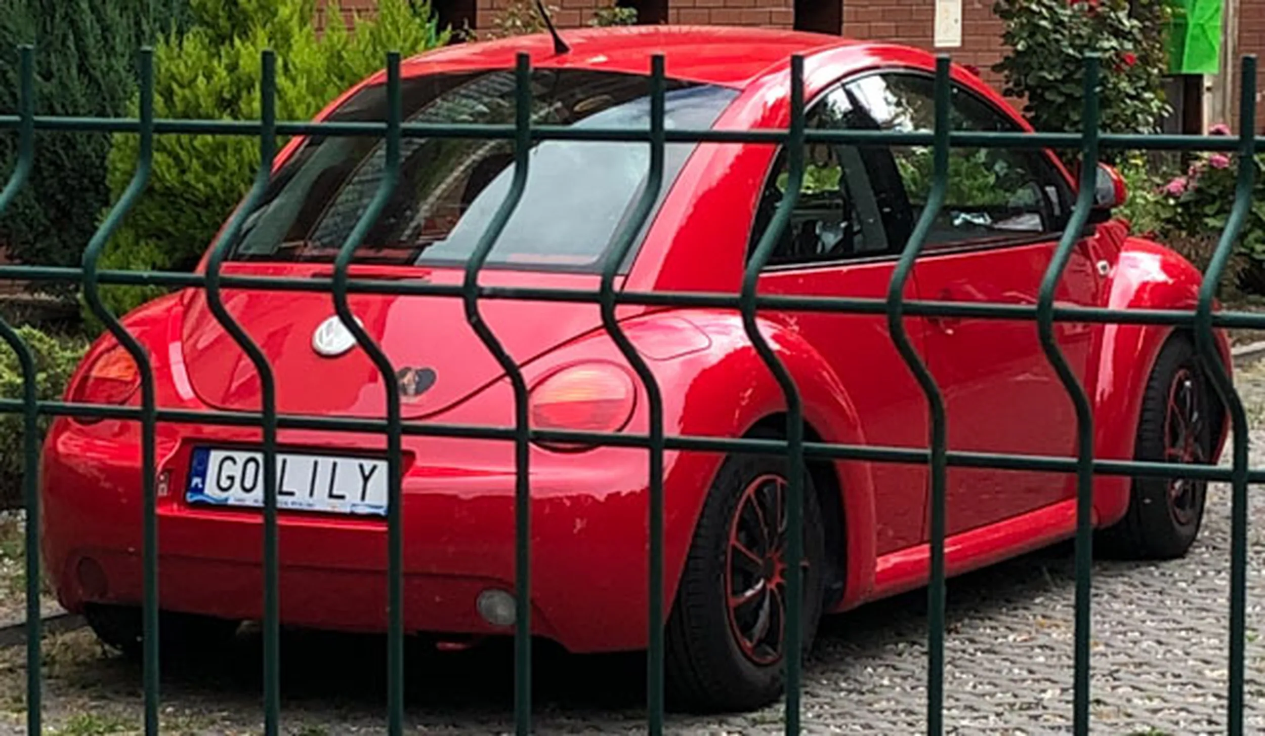 Fajny numer, blacha G0 LILY