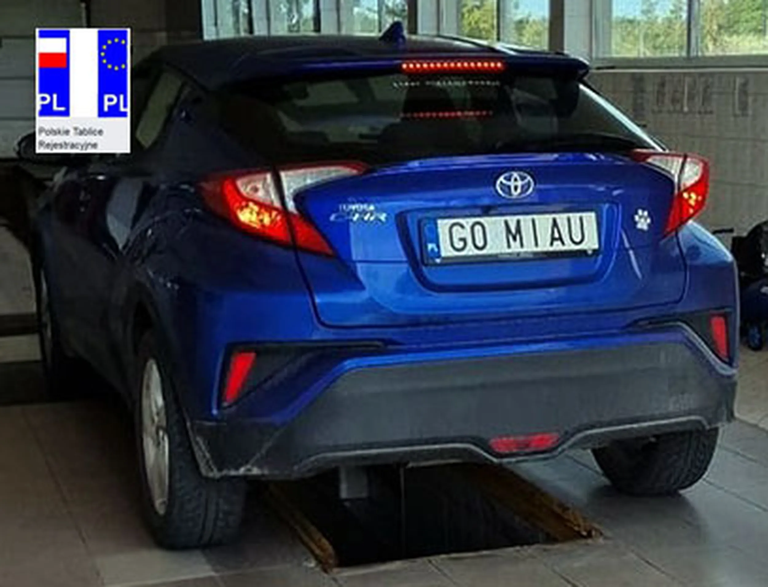 Fajny numer, blacha G0 MIAU