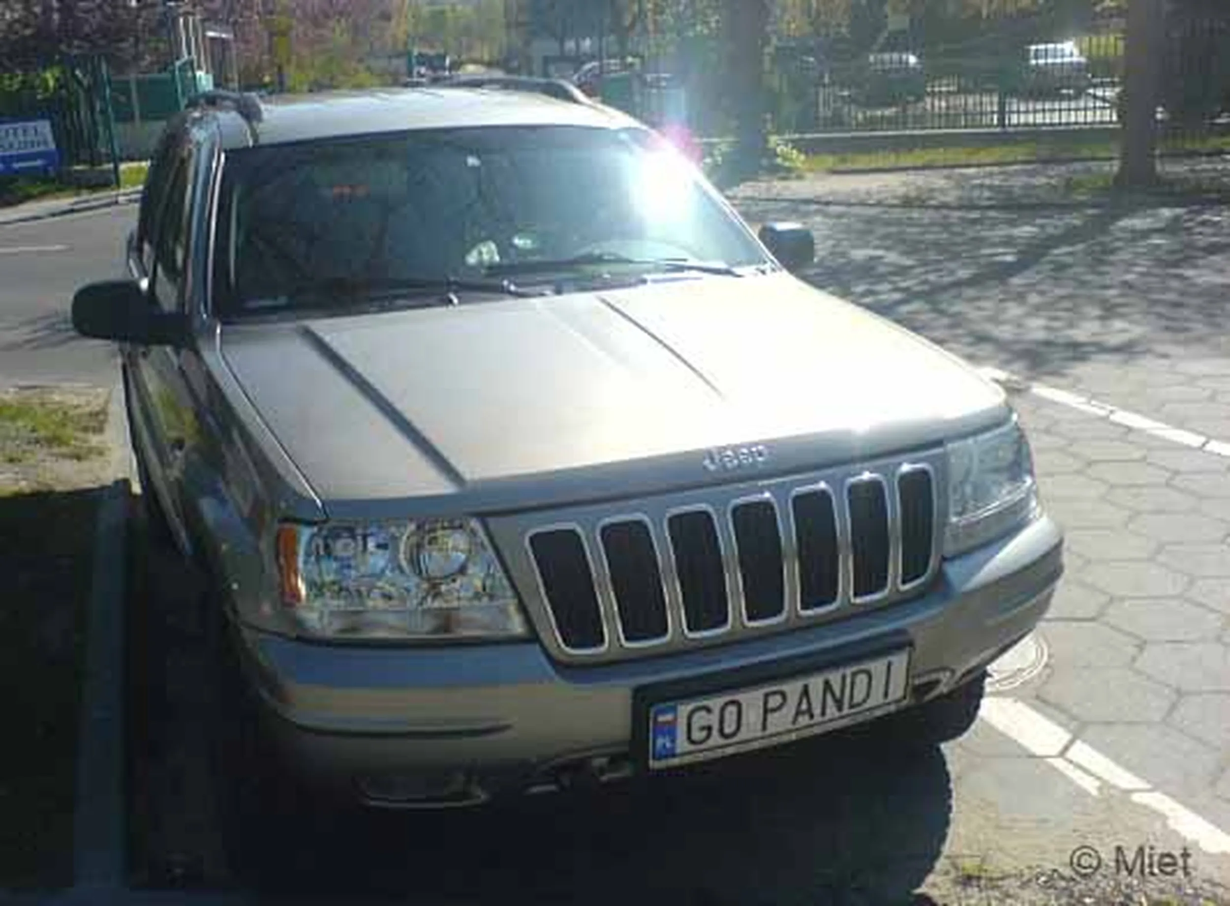 Fajny numer, blacha G0 PANDI