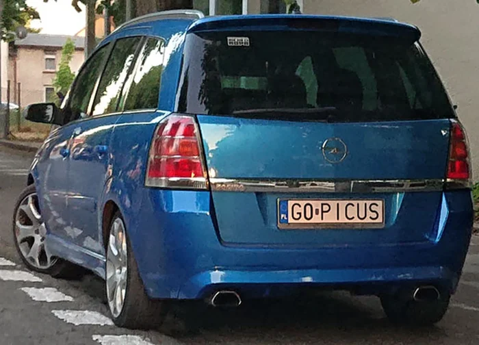 Fajny numer, blacha G0 PICUS