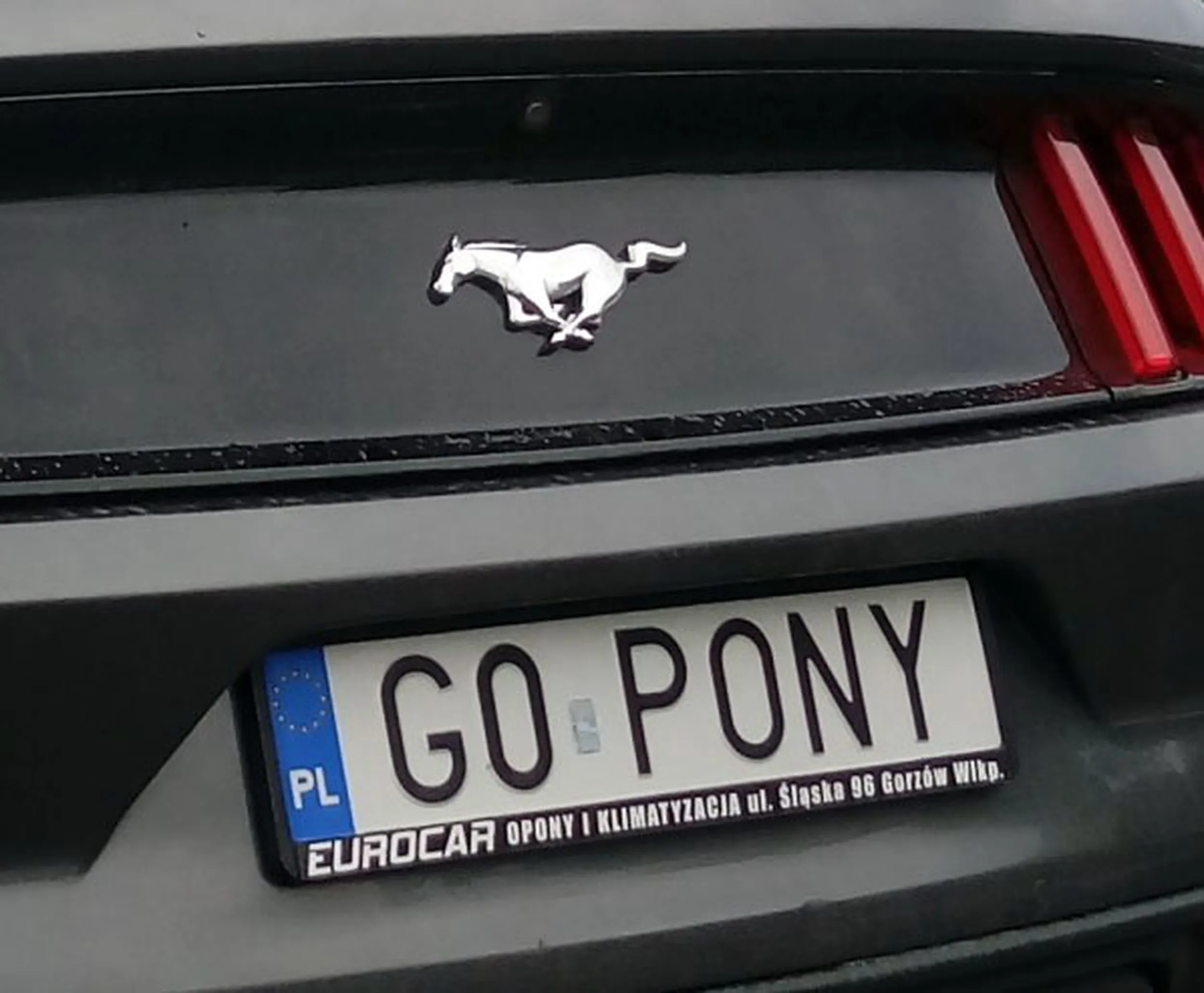 Fajny numer, blacha G0 PONY
