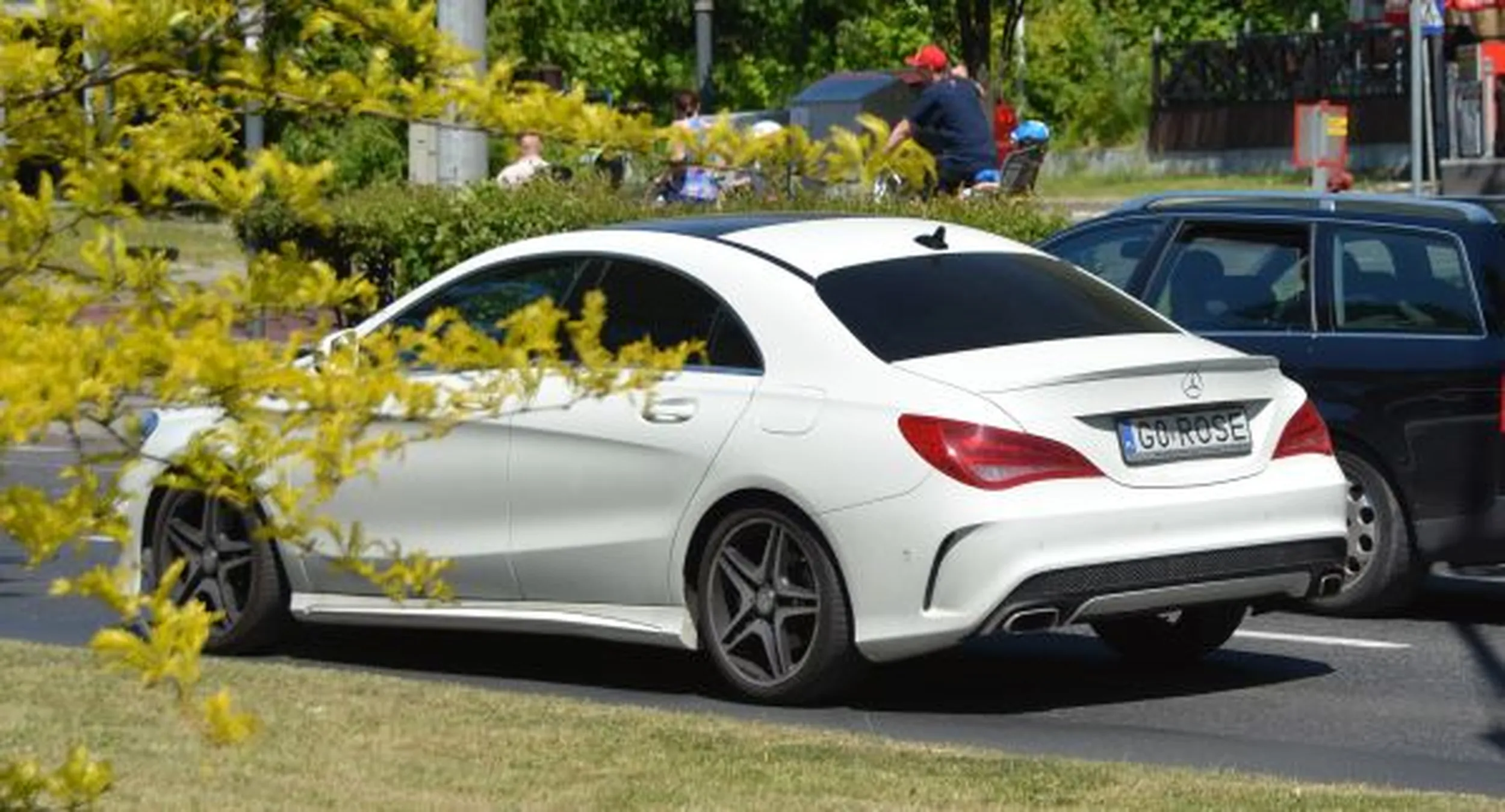 Fajny numer, blacha G0 ROSE